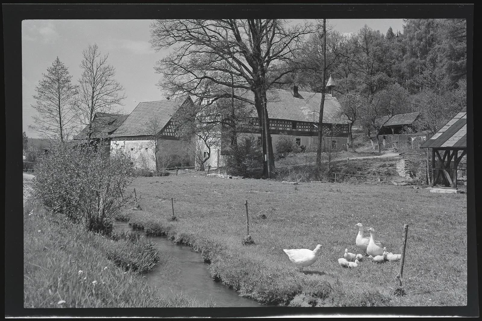 Obrázek Salajna, čp. 9, mlýn; 1760 ob. stavení, 1778 špýchar