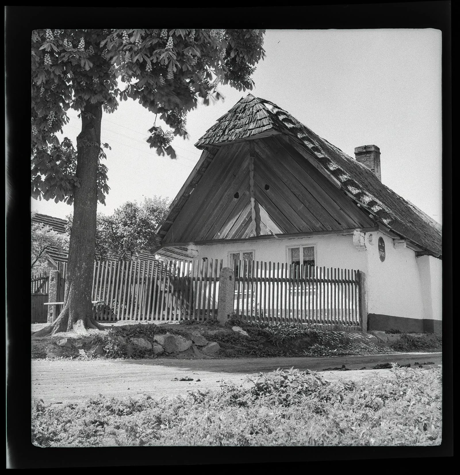 Obrázek Lipnice 31