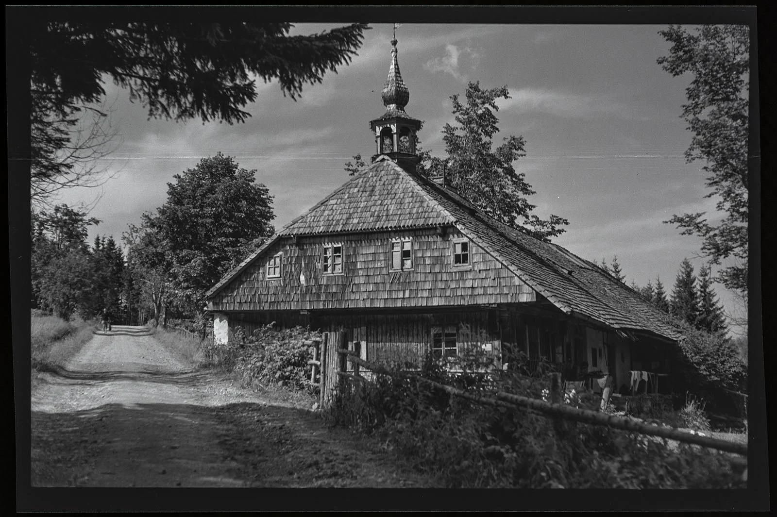 Obrázek Srní