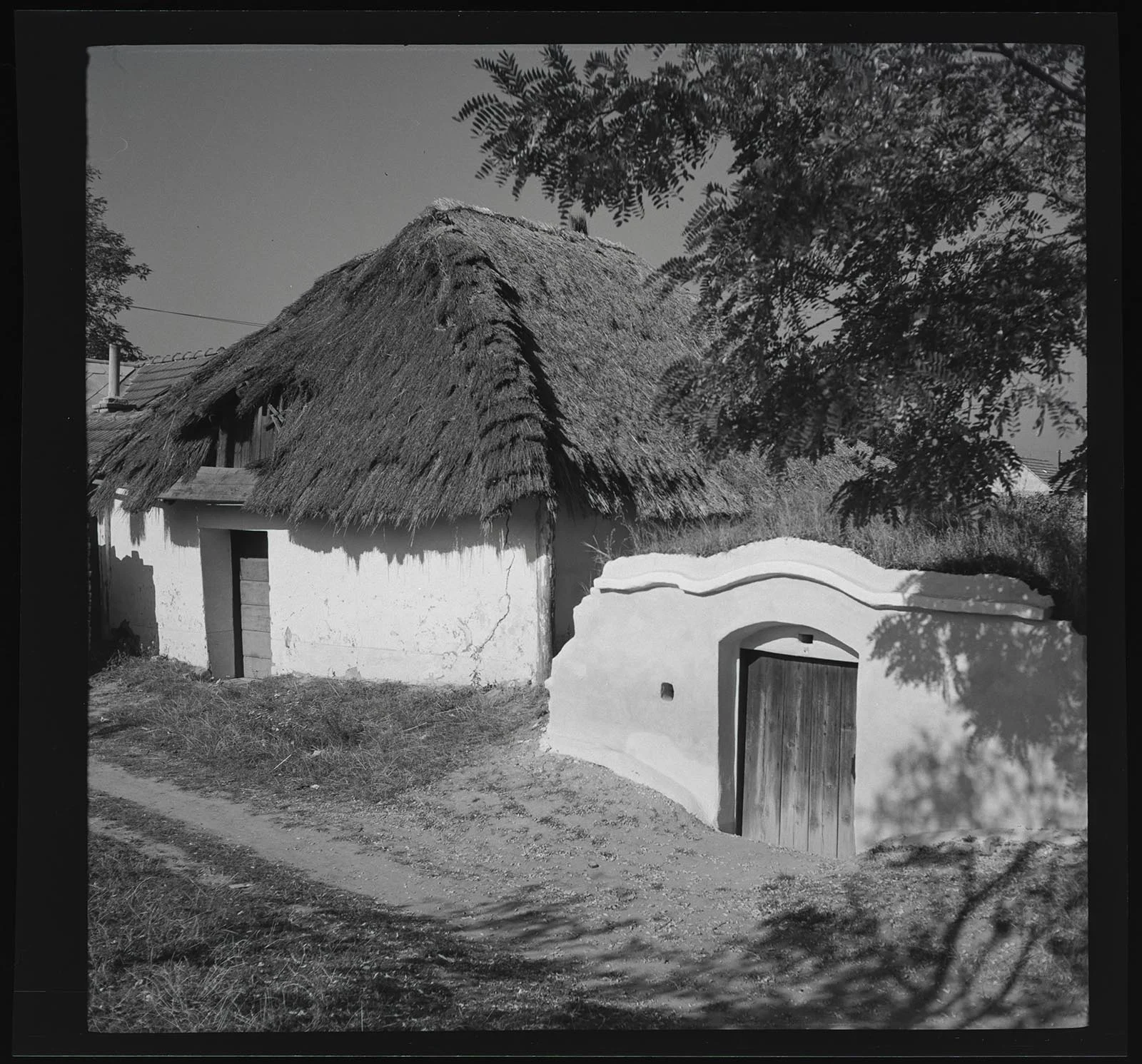 Obrázek Prušánky č. 3, vinné sklepy