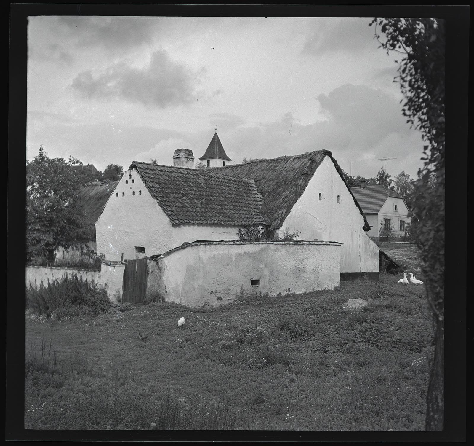 Náhledový obrázek Velký Bor - 1