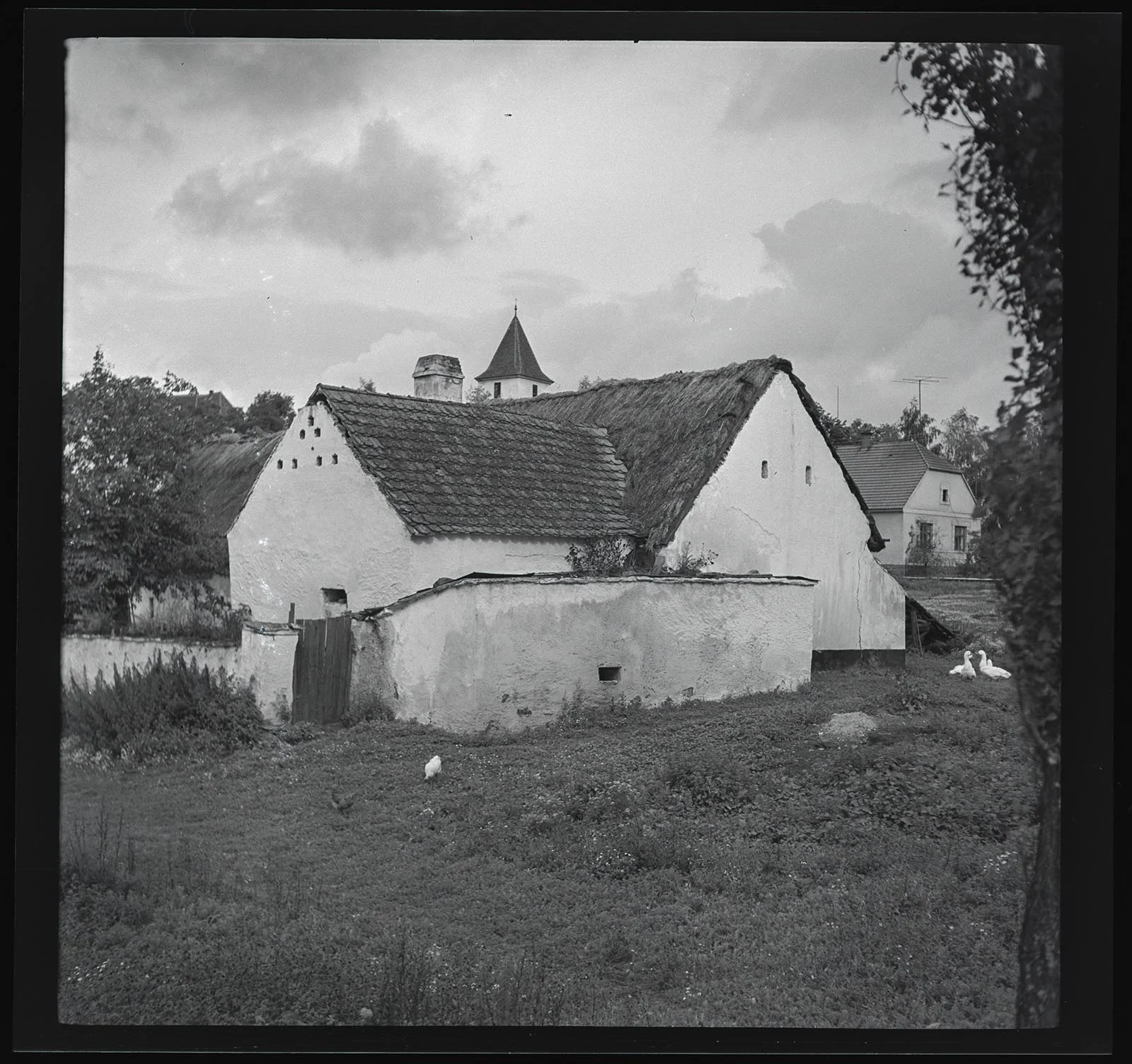 Obrázek Velký Bor
