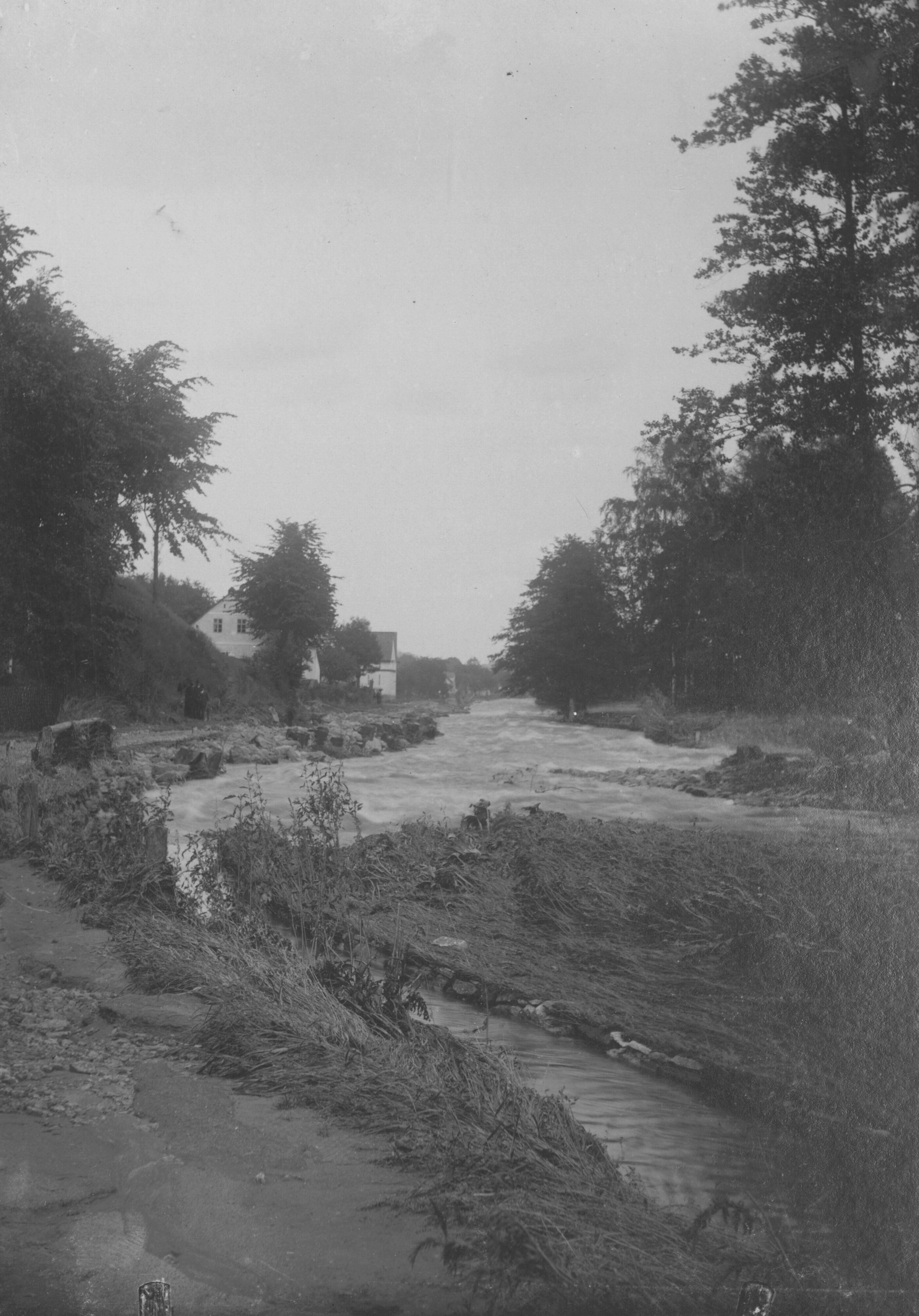 Náhledový obrázek Povodeň r. 1903: Jeseník-Ves (čb. fotografie) - 1