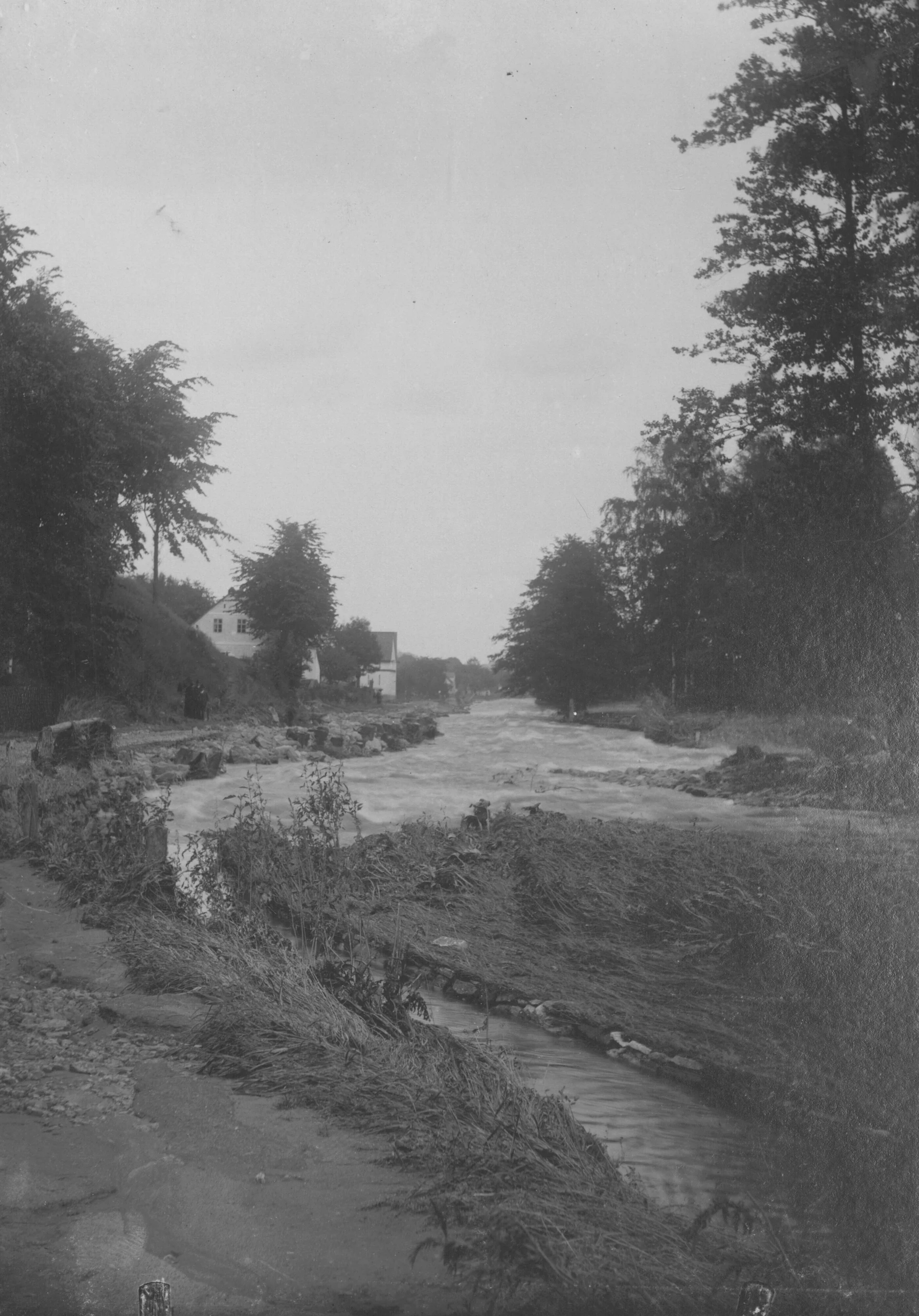 Náhledový obrázek předmětu Povodeň r. 1903: Jeseník-Ves (čb. fotografie)