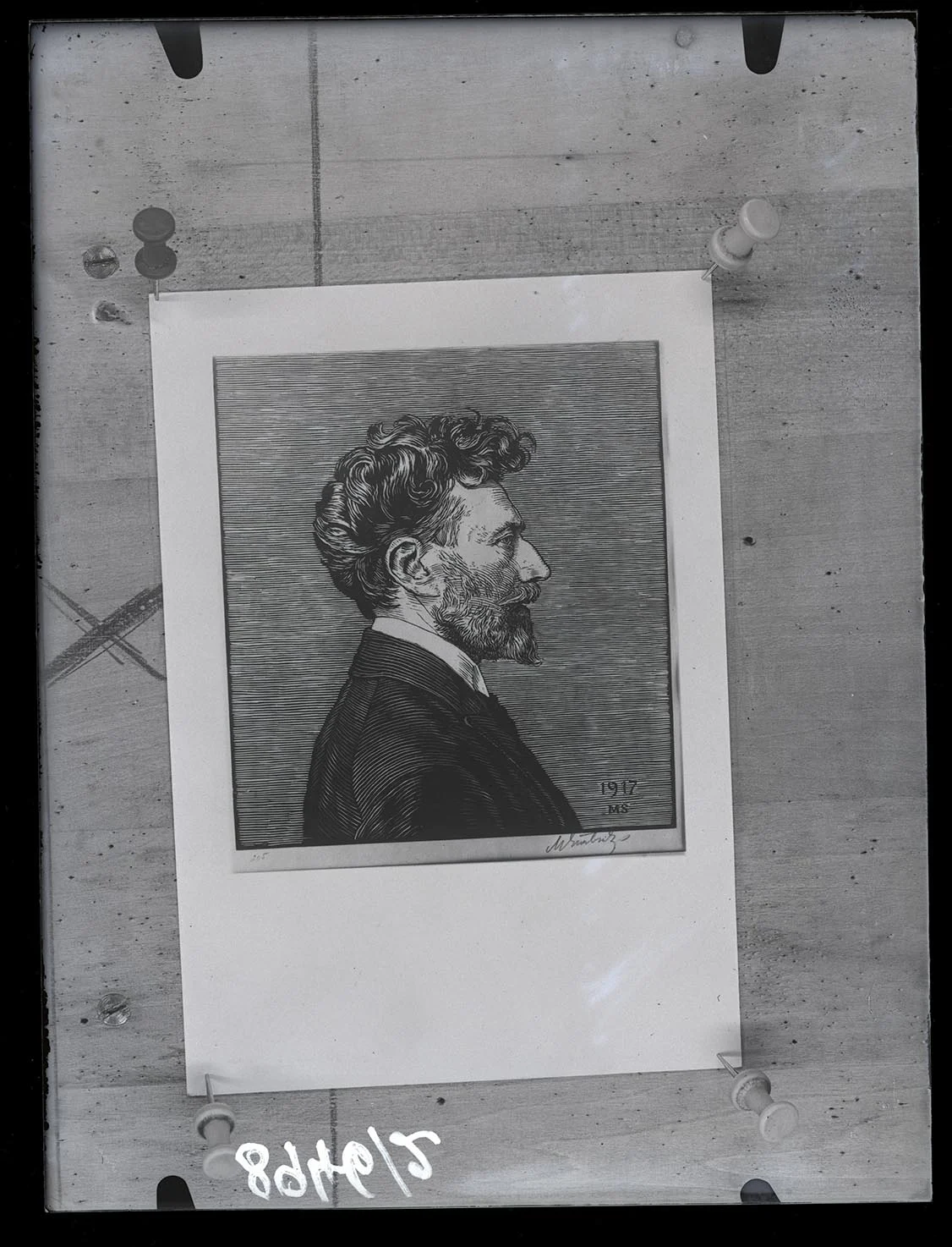 Obrázek Obraz