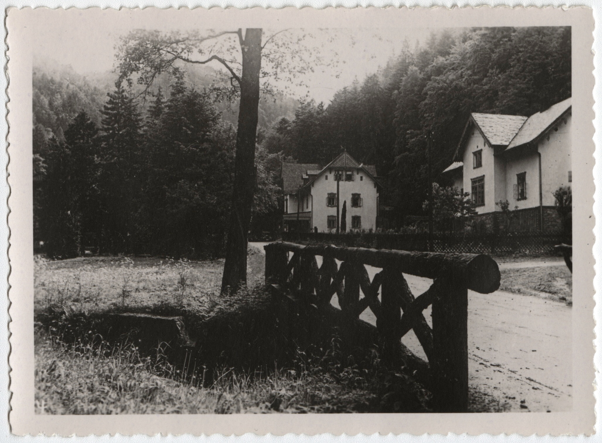 Náhledový obrázek Račí údolí u Javorníku na historické fotografii - 1