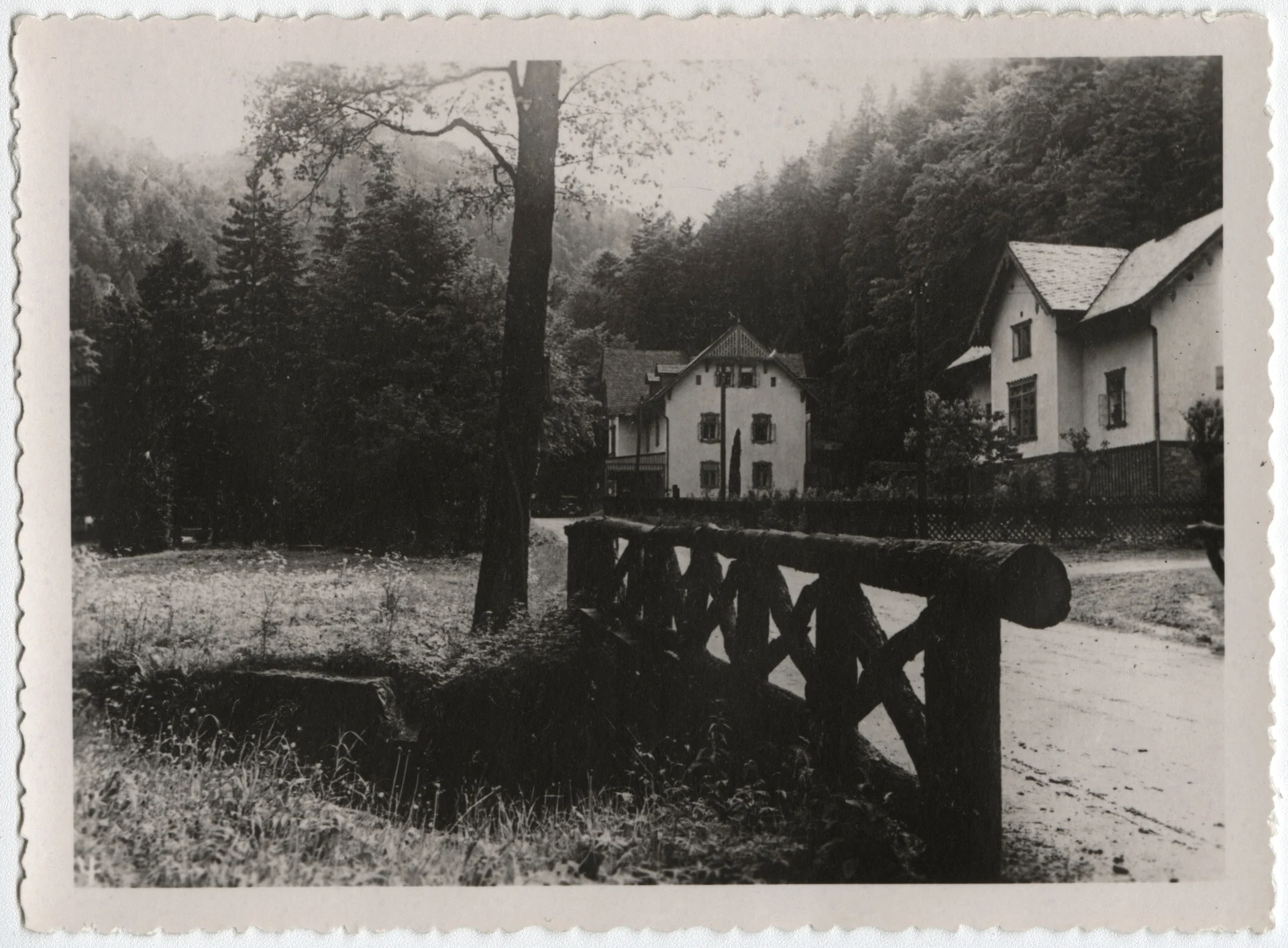 Náhledový obrázek předmětu Račí údolí u Javorníku na historické fotografii