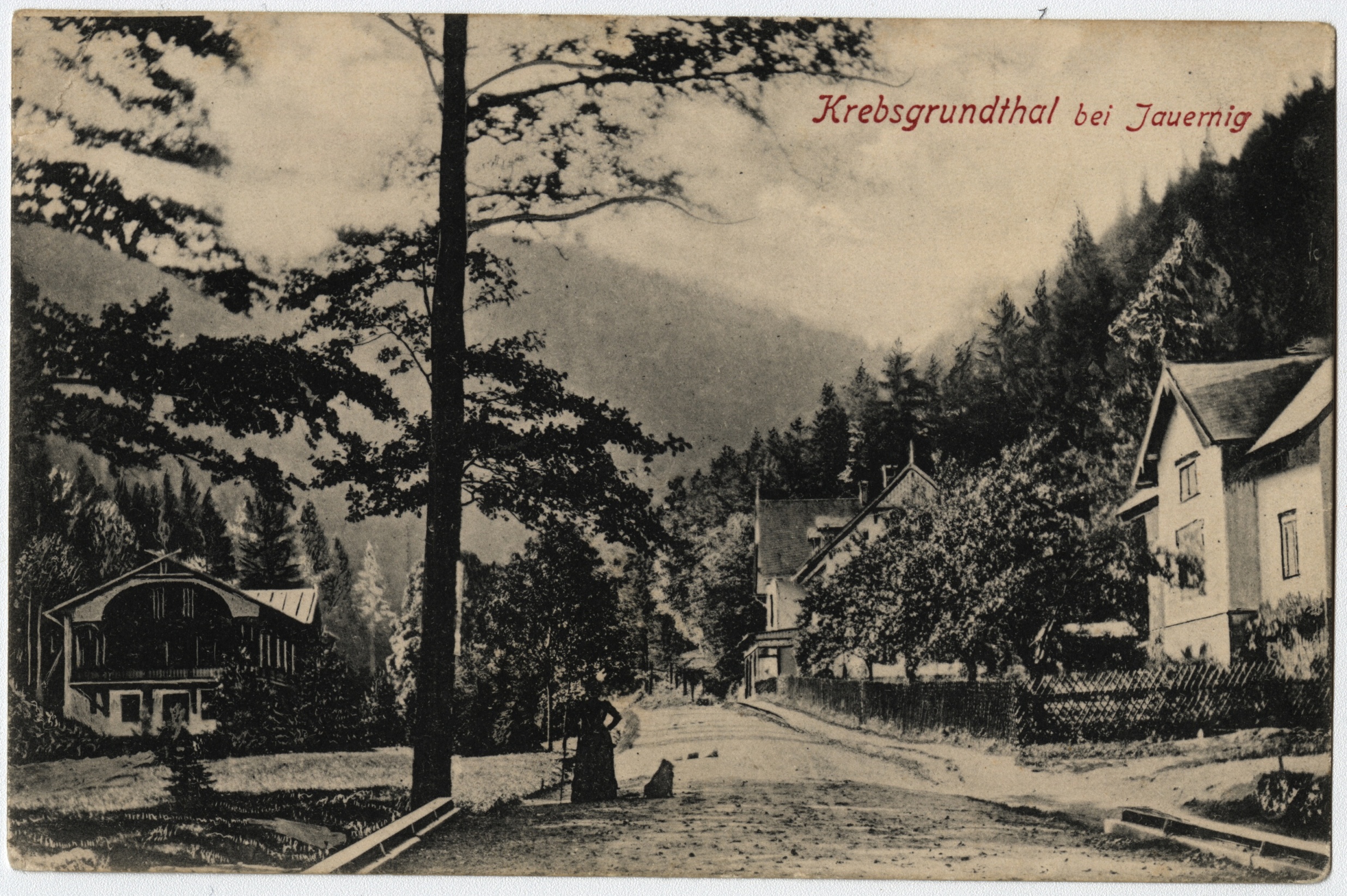 Náhledový obrázek Račí údolí u Javorníku (pohlednice) - 1