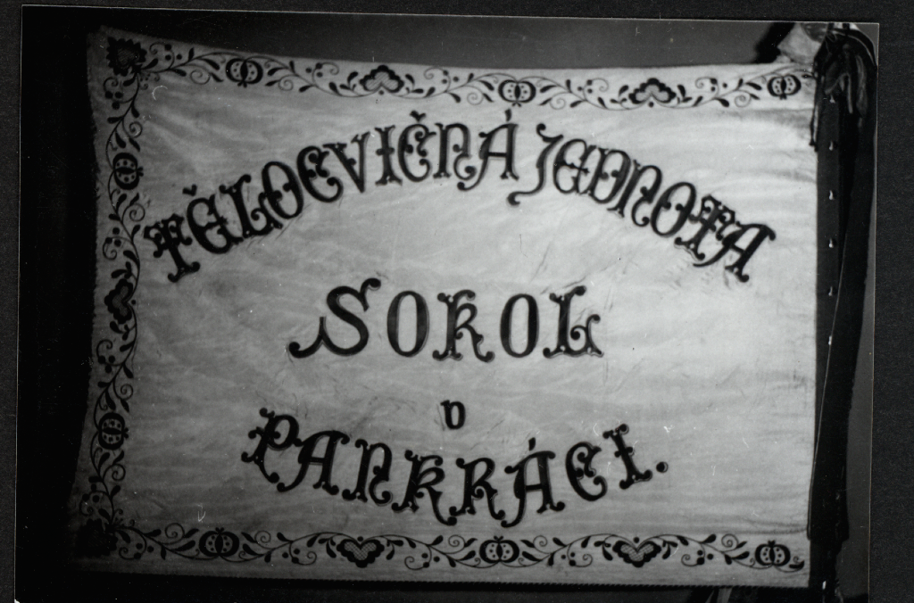 Náhledový obrázek Sokolské prapory - 4
