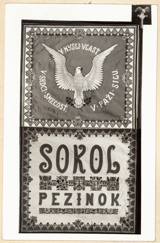 Náhledový obrázek Sokolské prapory - 14