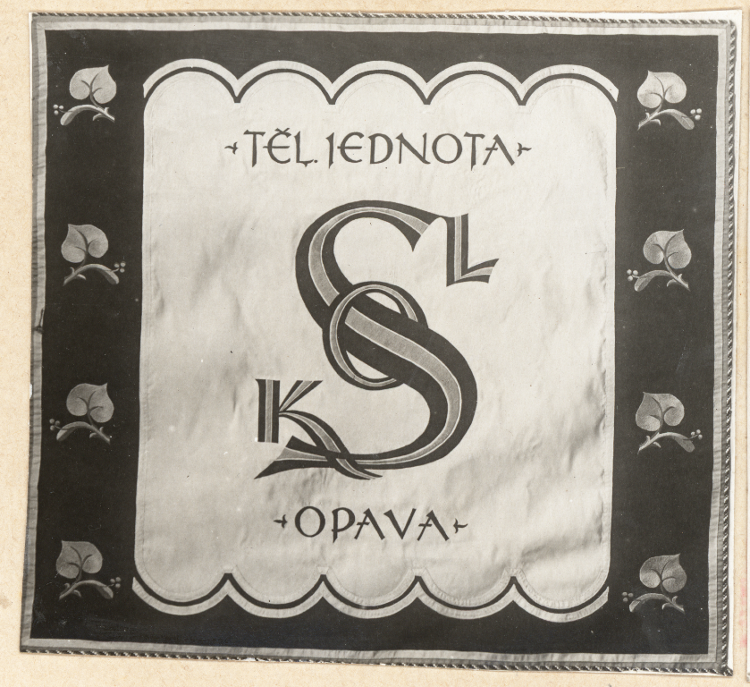 Náhledový obrázek Sokolské prapory - 64