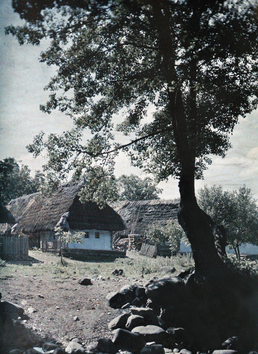 Náhledový obrázek Kamenica u Perečína [Kamjanycja u Perečyna], chalupa se stromem - 1