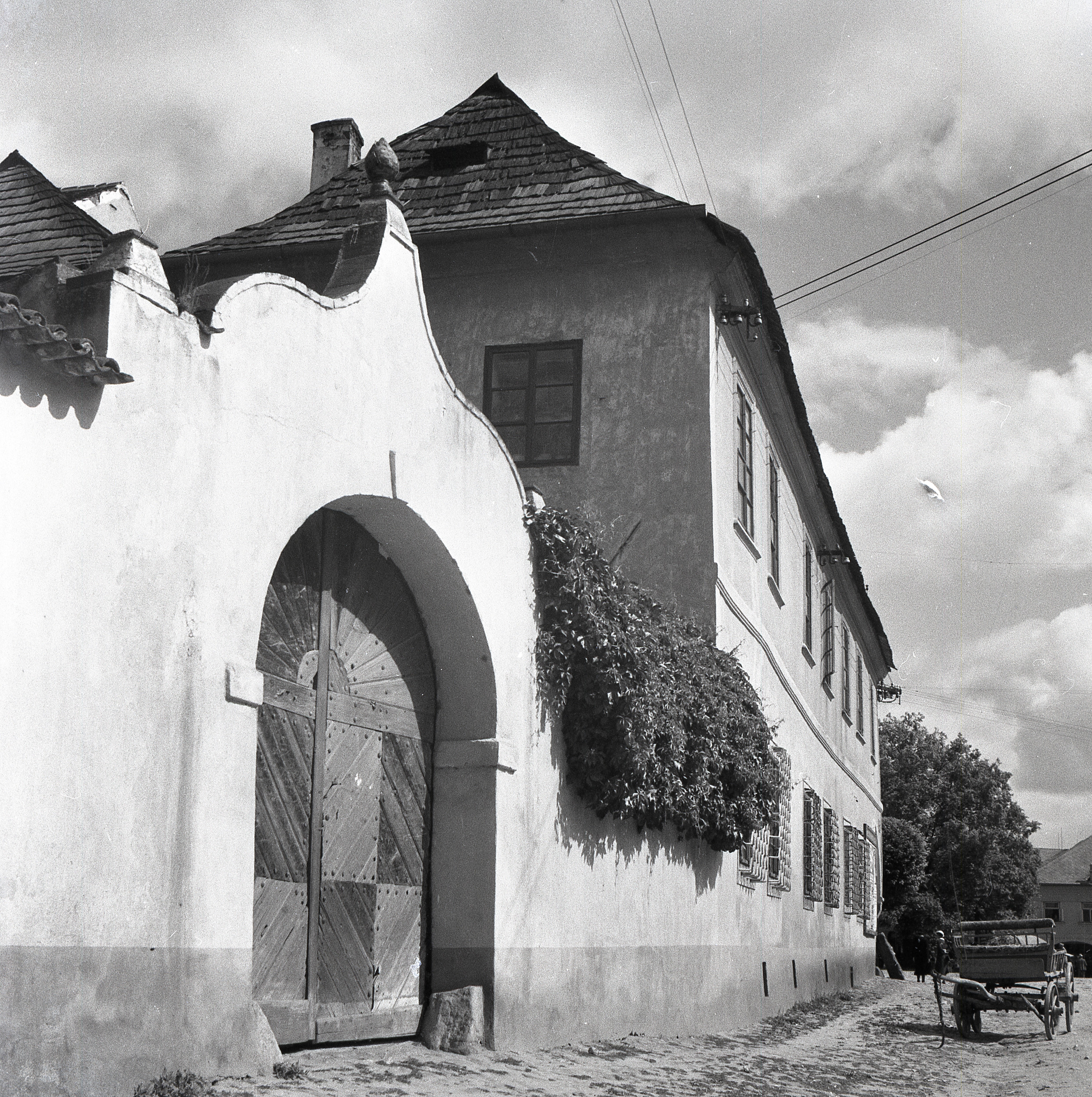 Náhledový obrázek Muzeum - 10