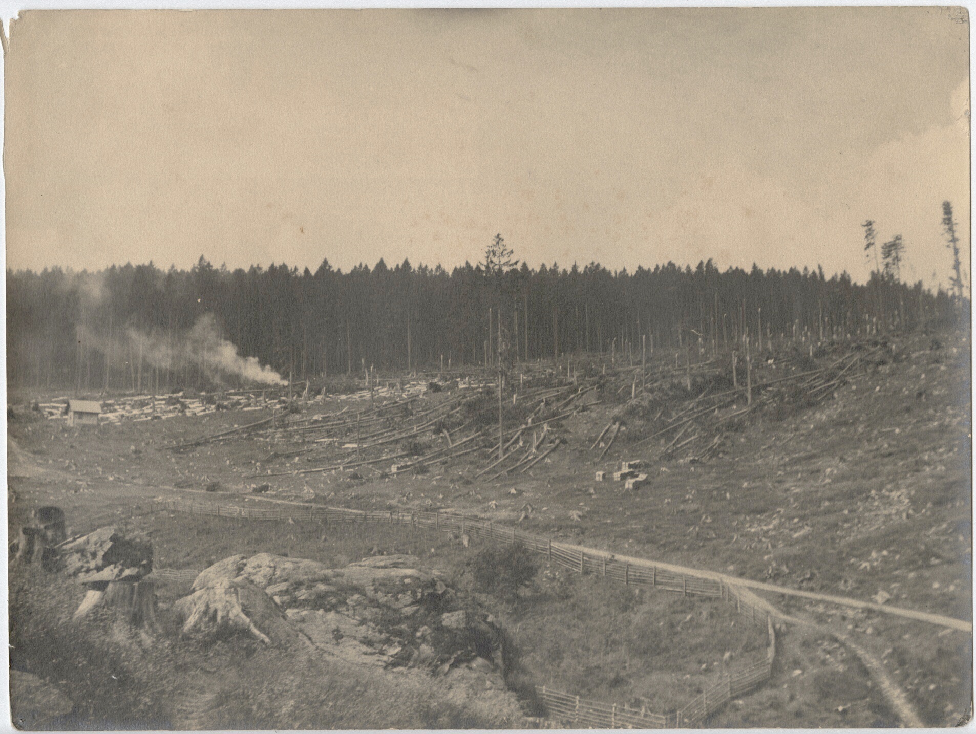 Náhledový obrázek Polom v revíru Železná  (černobílá fotografie) - 1