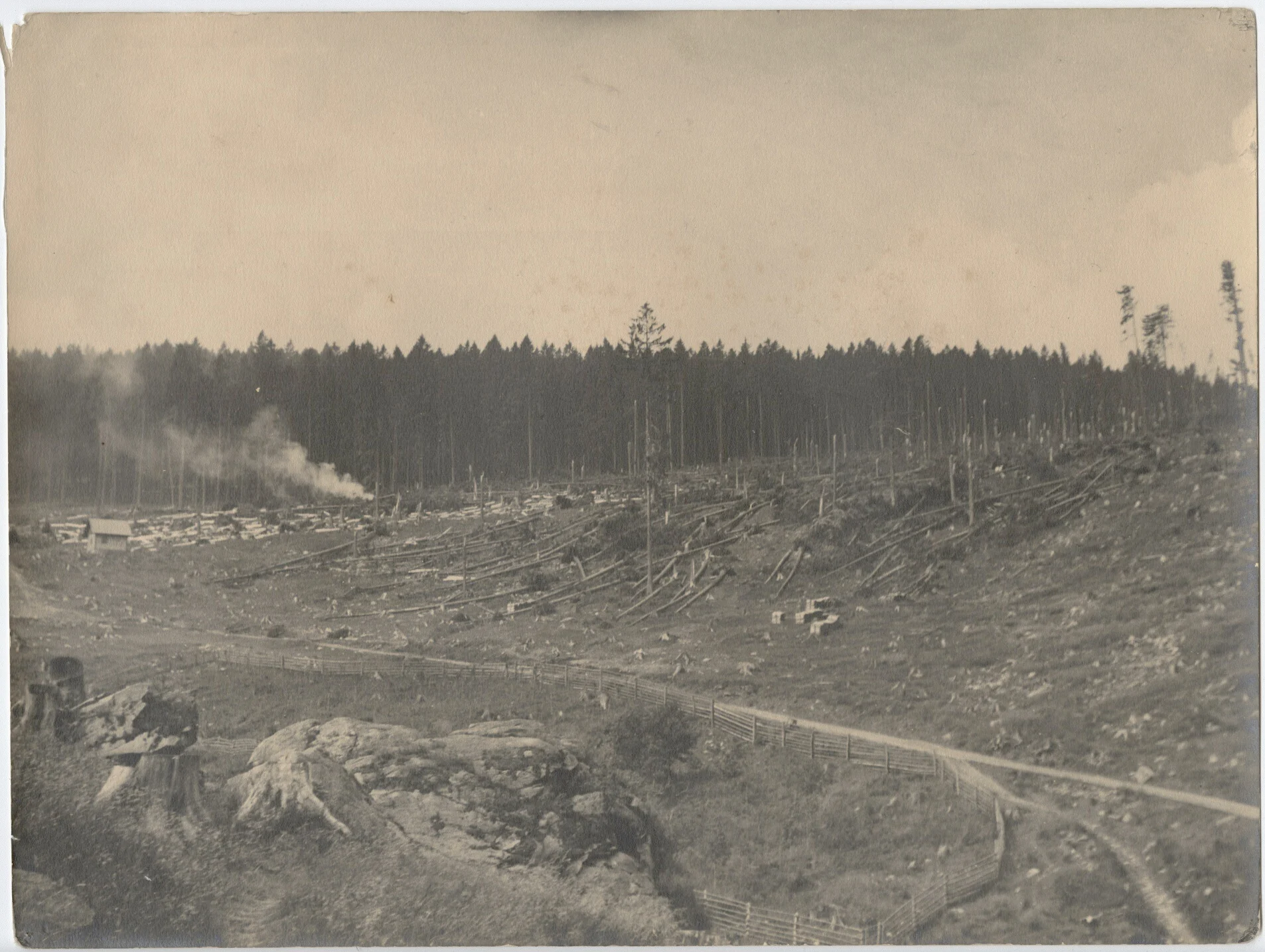 Náhledový obrázek předmětu Polom v revíru Železná  (černobílá fotografie)