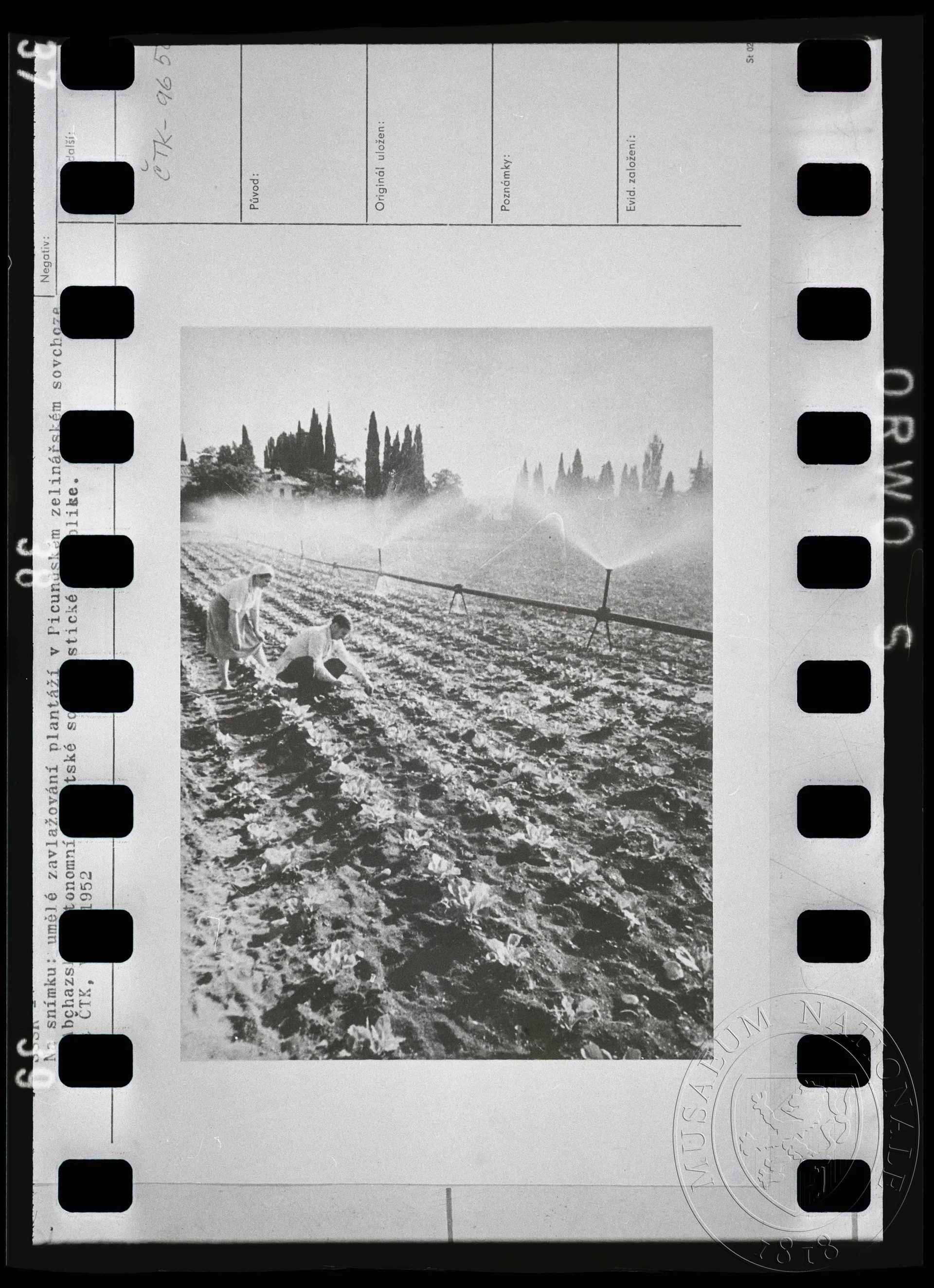 Obrázek Fotografie, umělé zavlažování plantáží