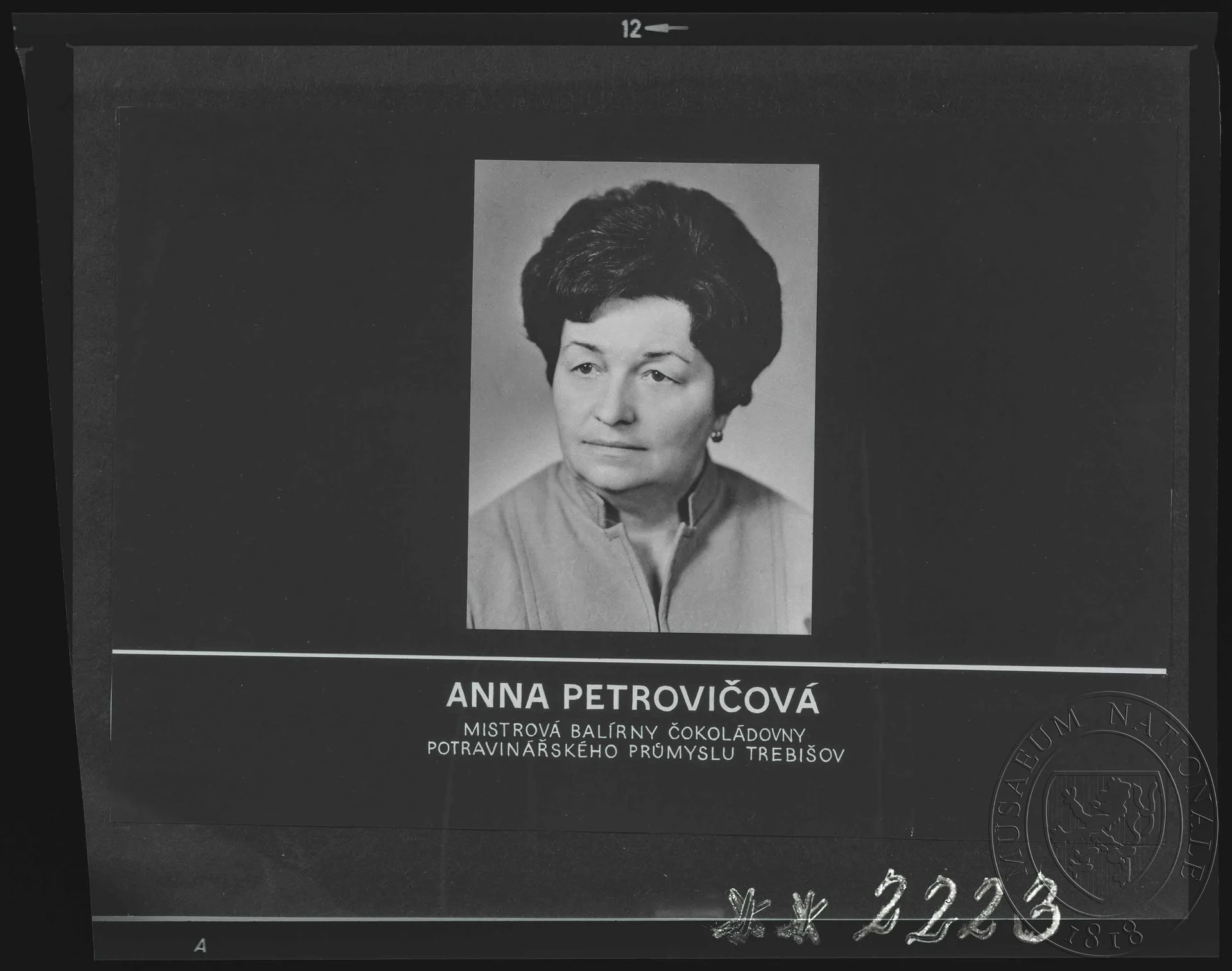 Obrázek Fotografie, Anna Petrovičová
