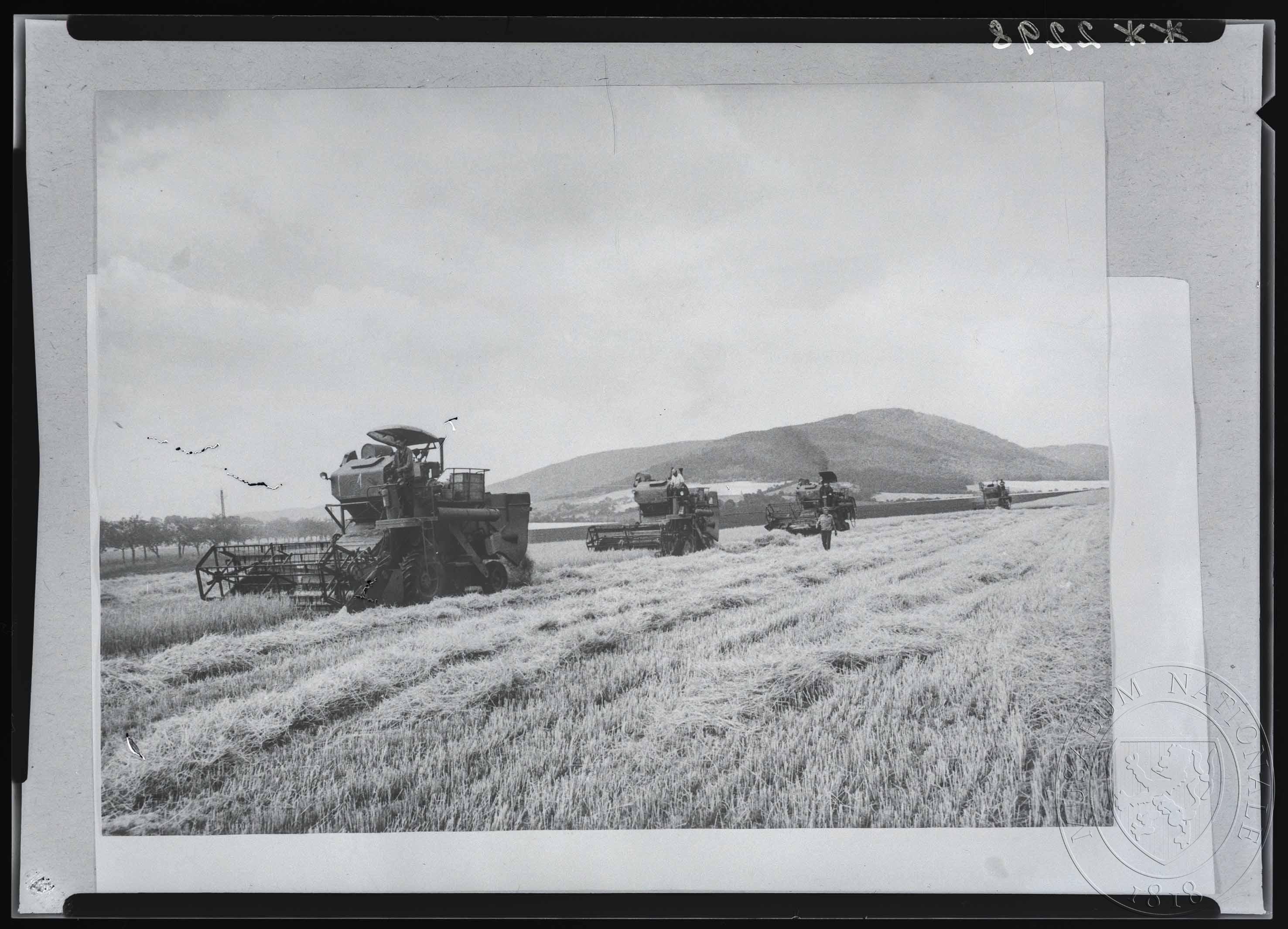 Náhledový obrázek Fotografie, kombajnové žně - 1