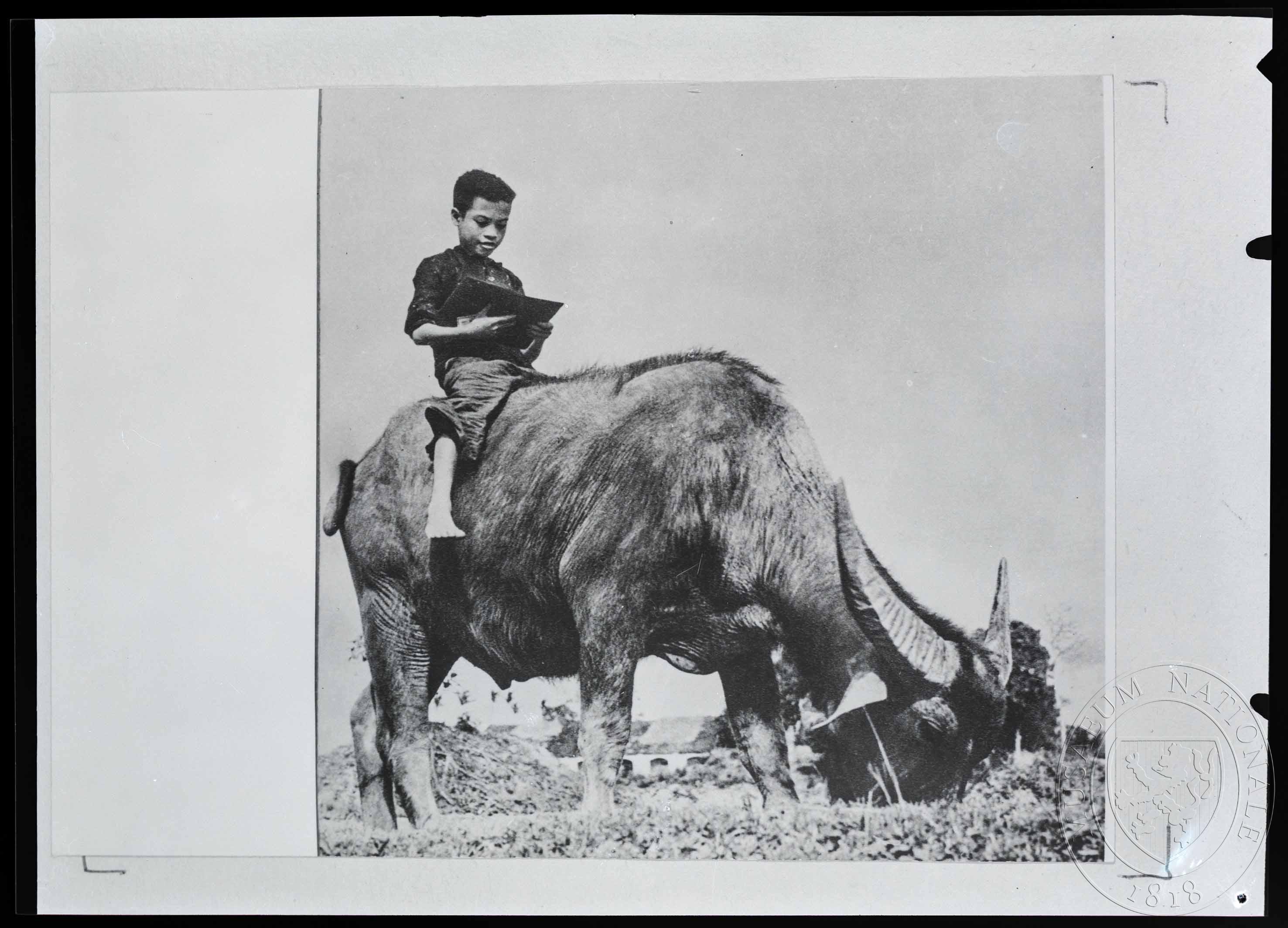 Náhledový obrázek Fotografie, chlapec čte knihu - 1
