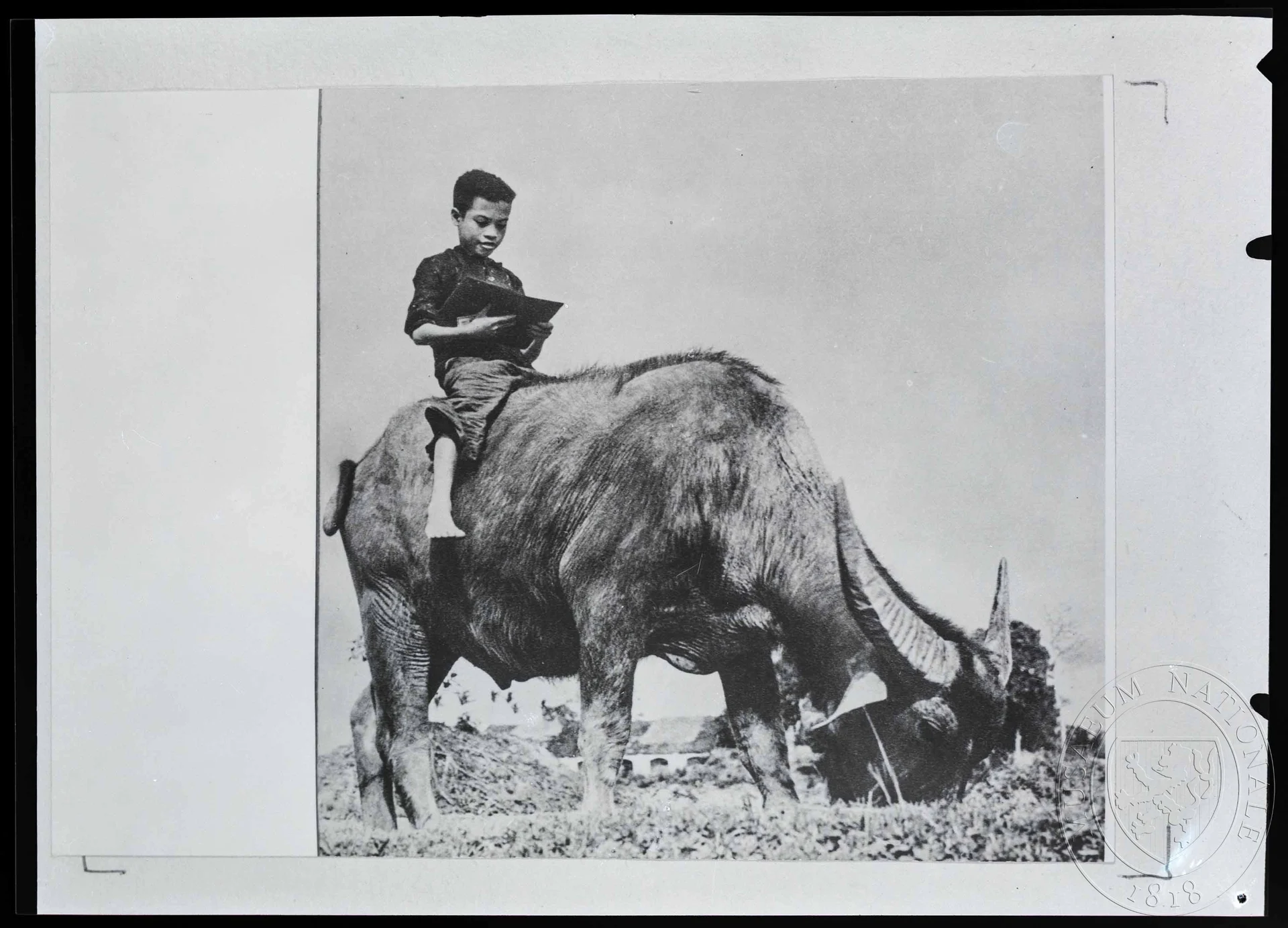 Obrázek Fotografie, chlapec čte knihu