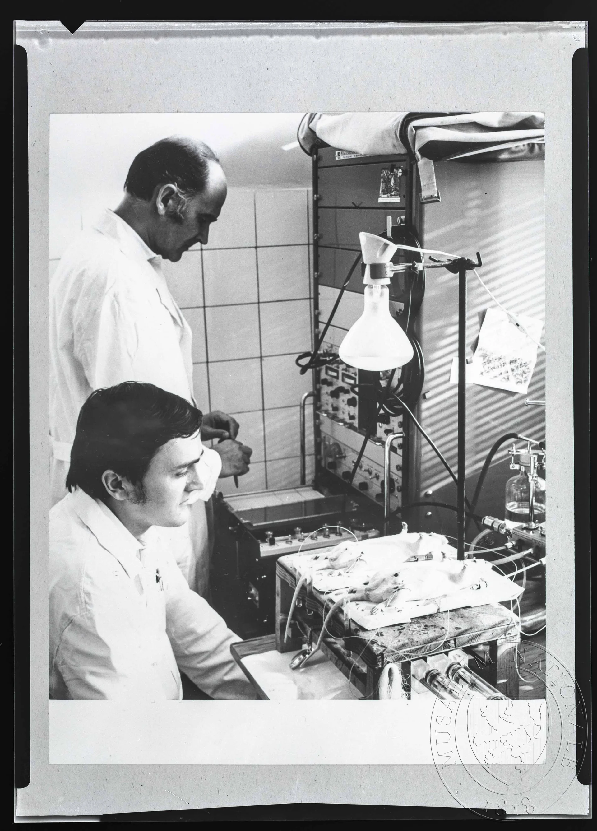 Obrázek Fotografie, dva laboranti