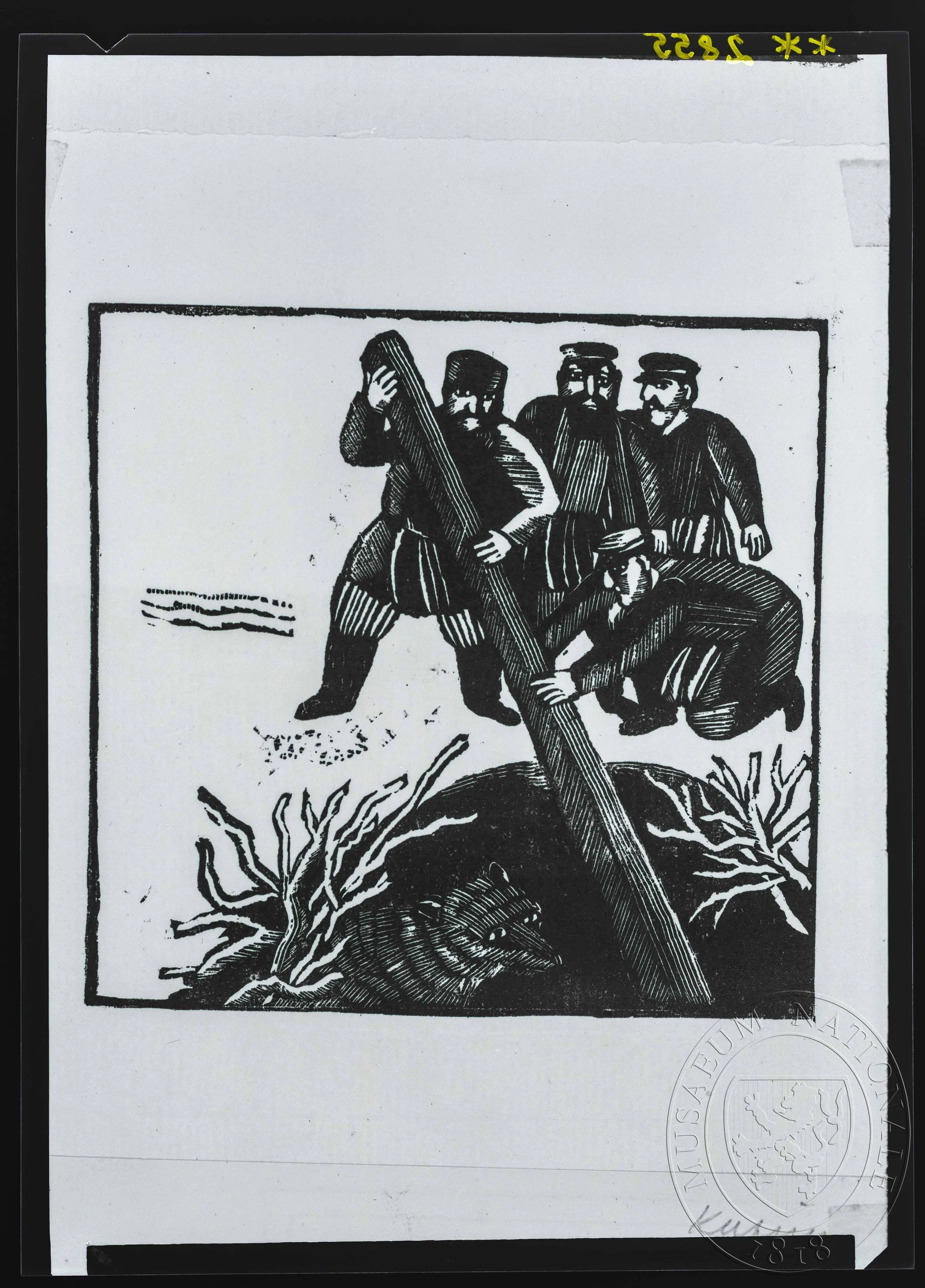 Obrázek Grafika, ilustrace 1