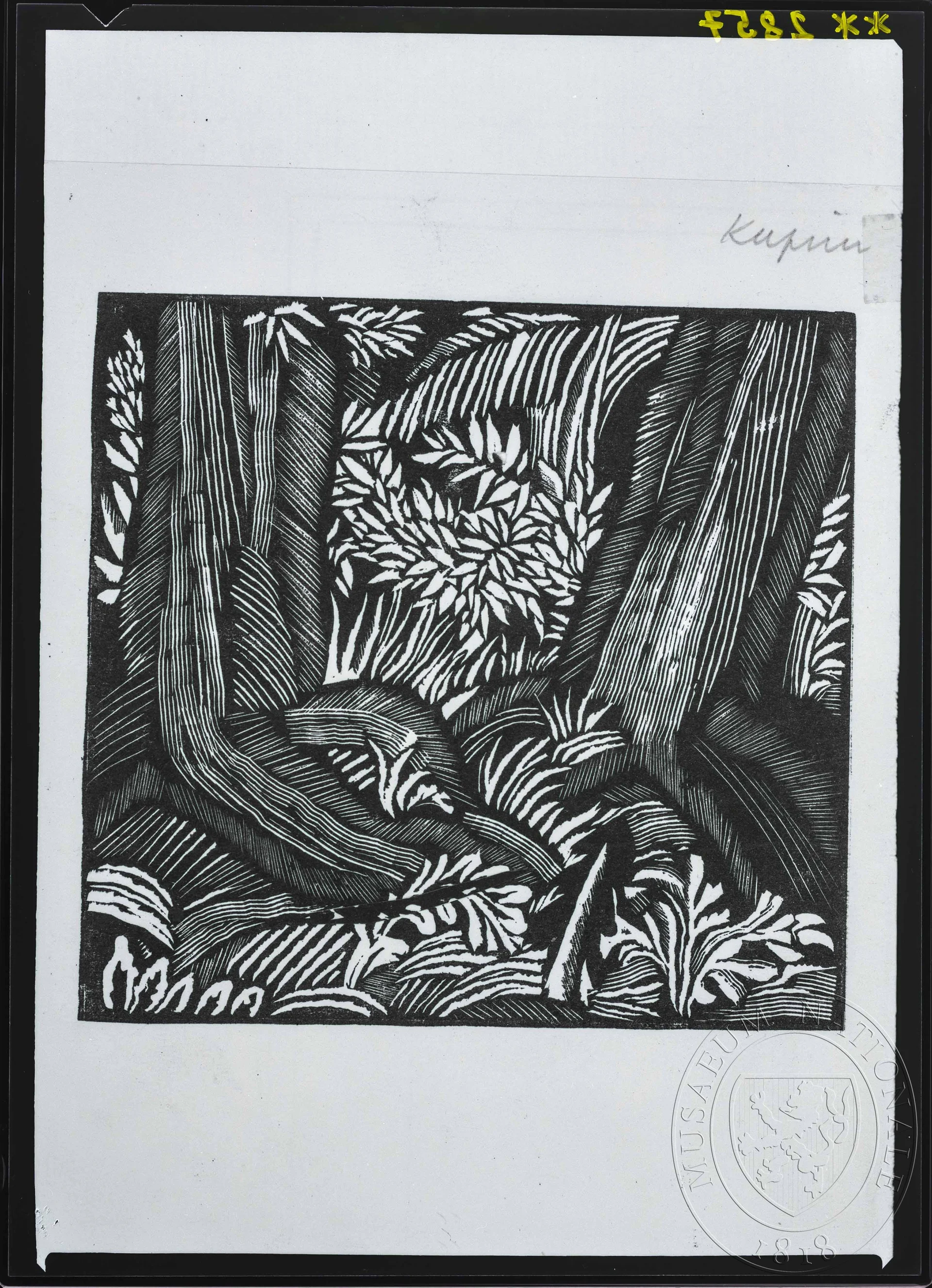 Obrázek Grafika, ilustrace 2