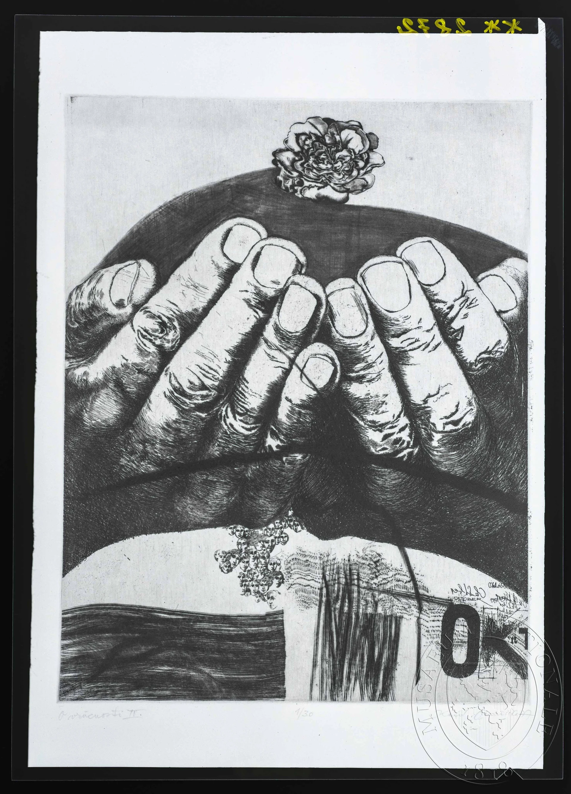 Obrázek Grafika, O moudrosti