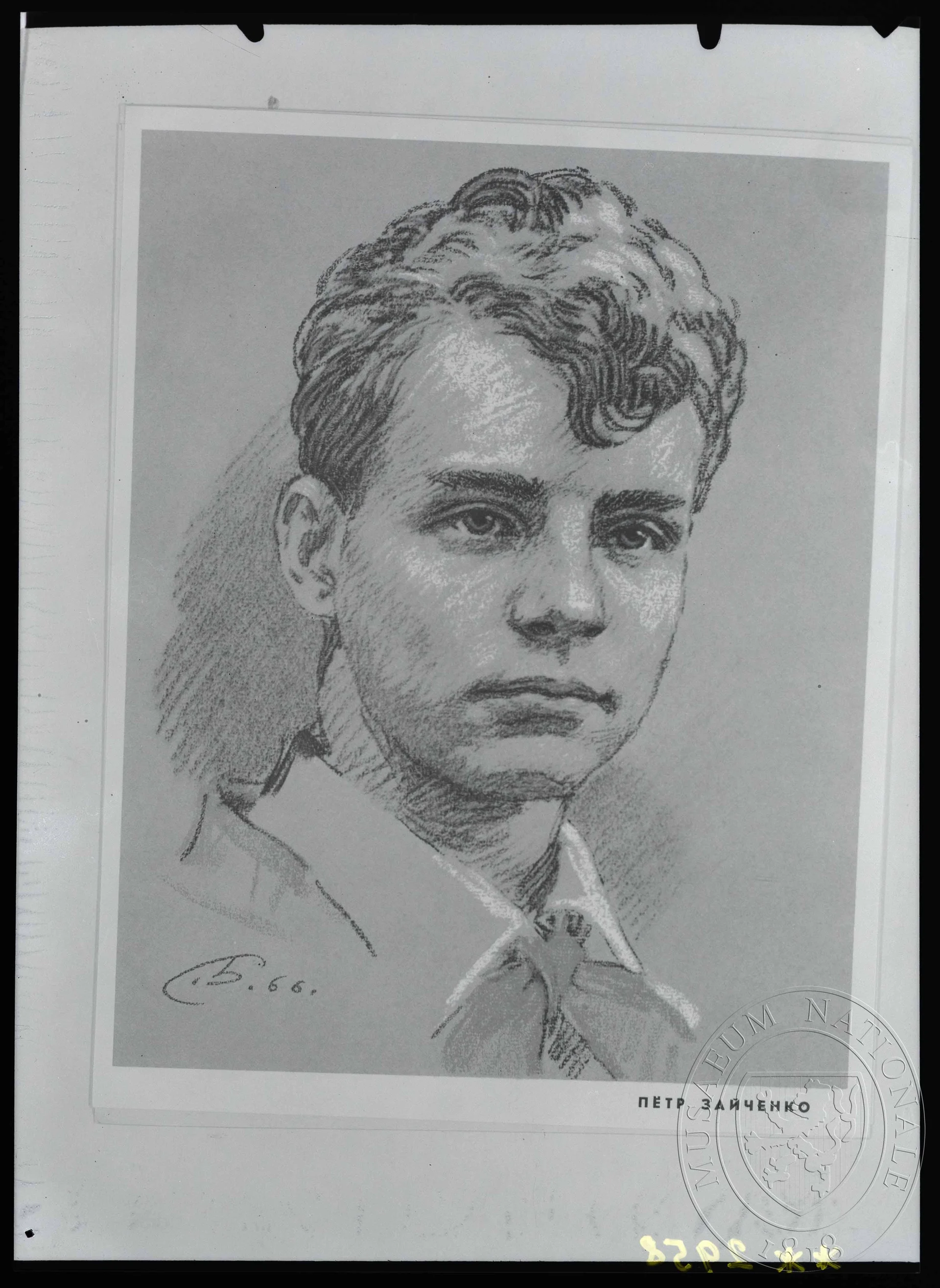 Obrázek Reprodukce, Petr Zajčenko