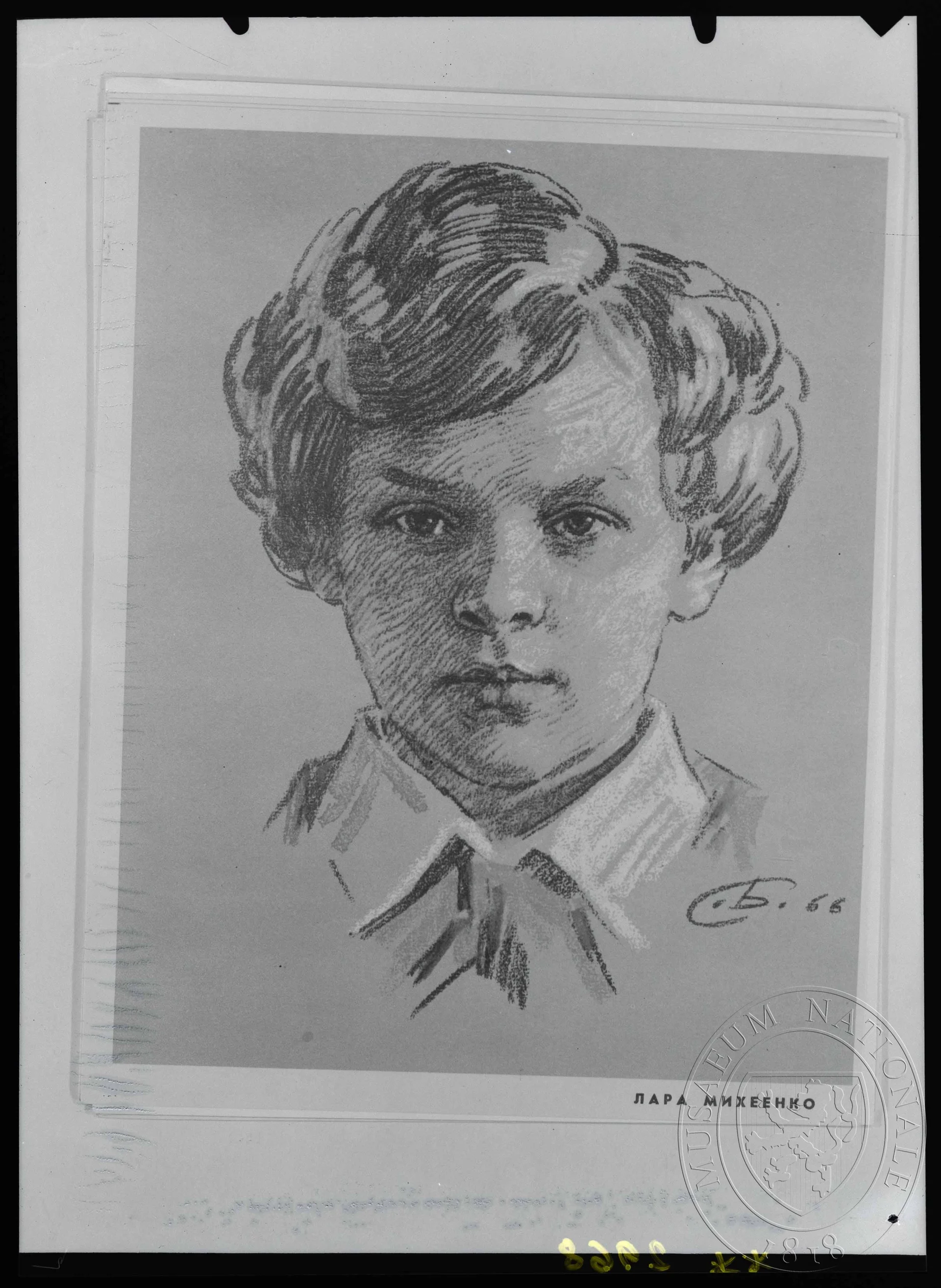 Obrázek Reprodukce, Lara Michenko