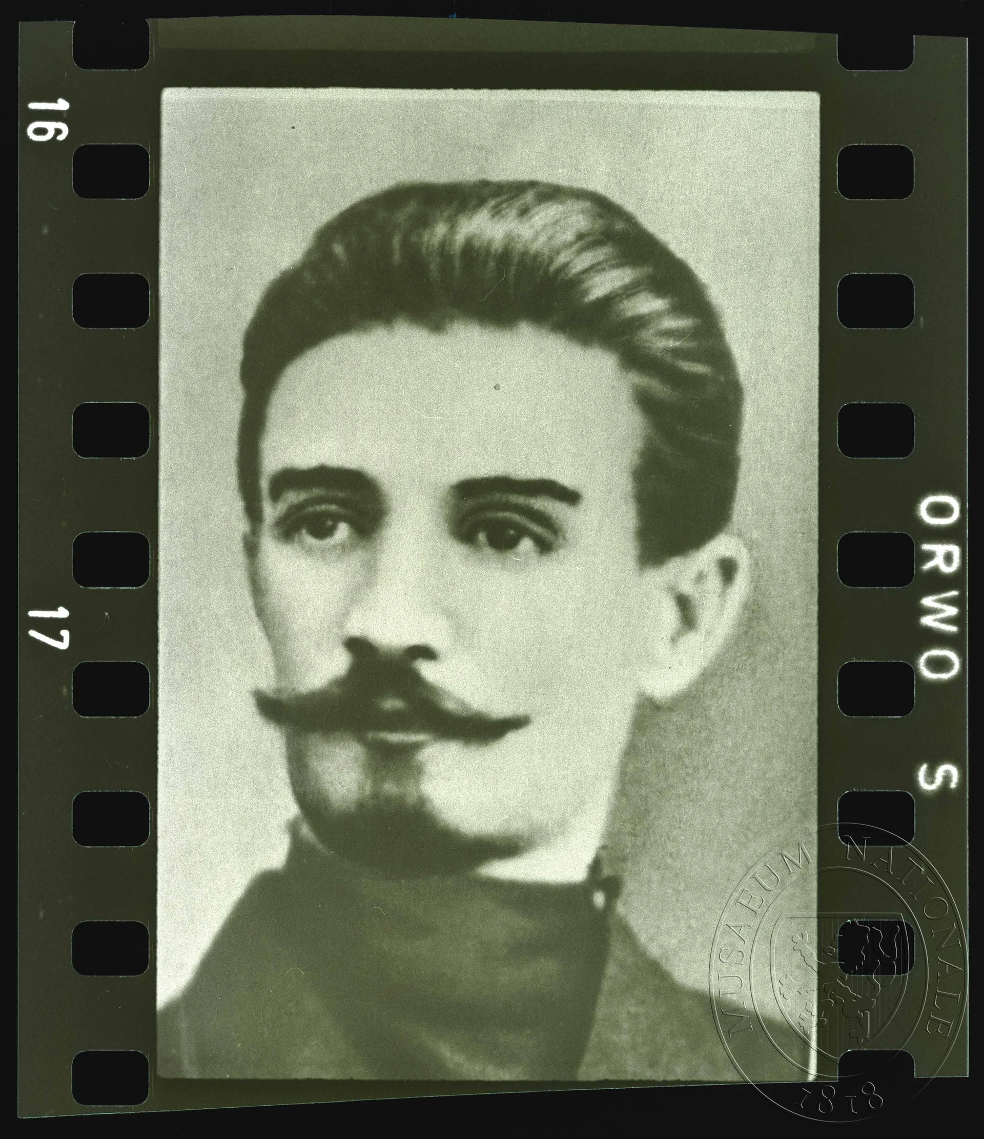 Obrázek Fotografie, mladý muž s knírem a vousy