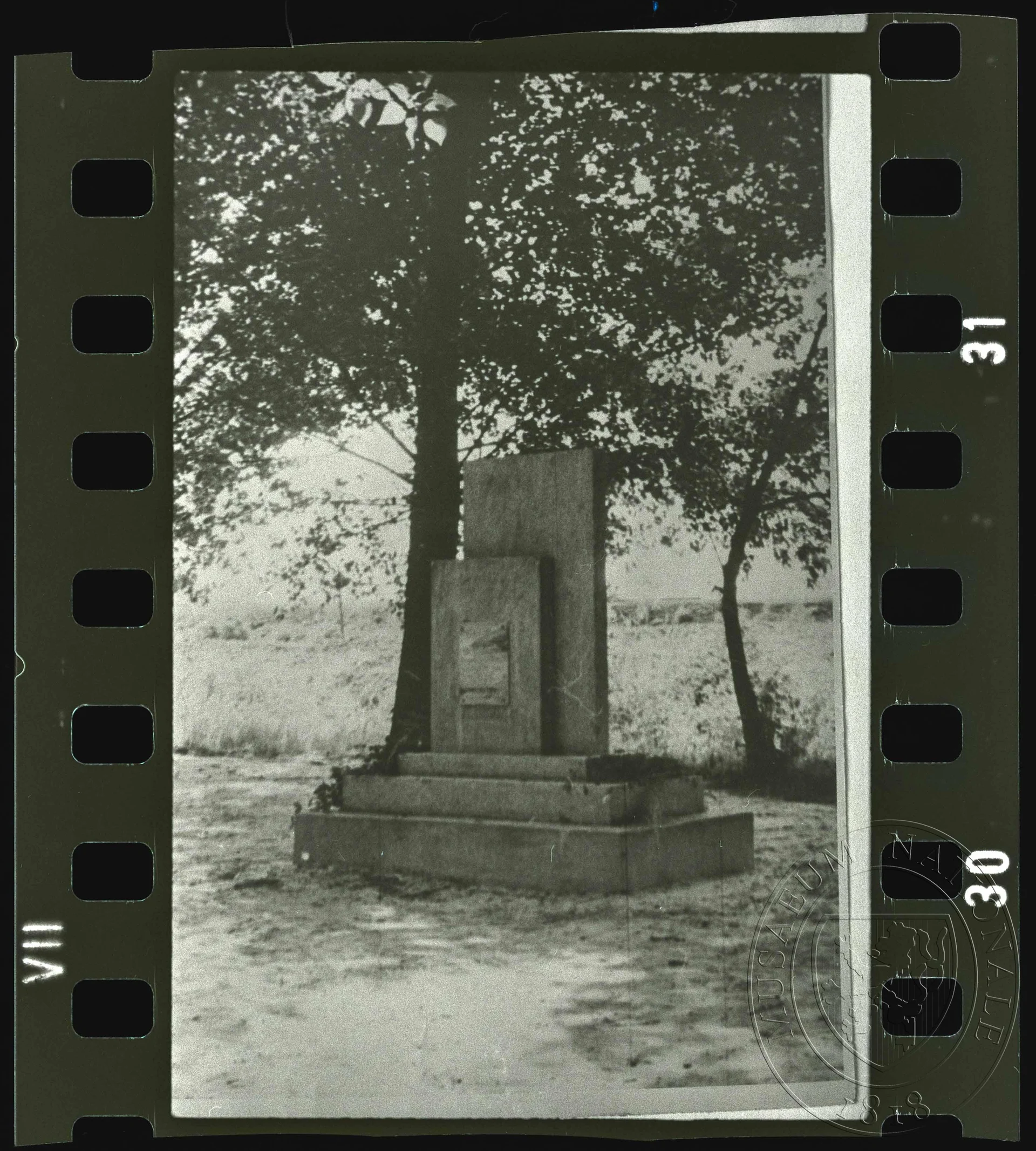 Obrázek Fotografie, památník pod stromem