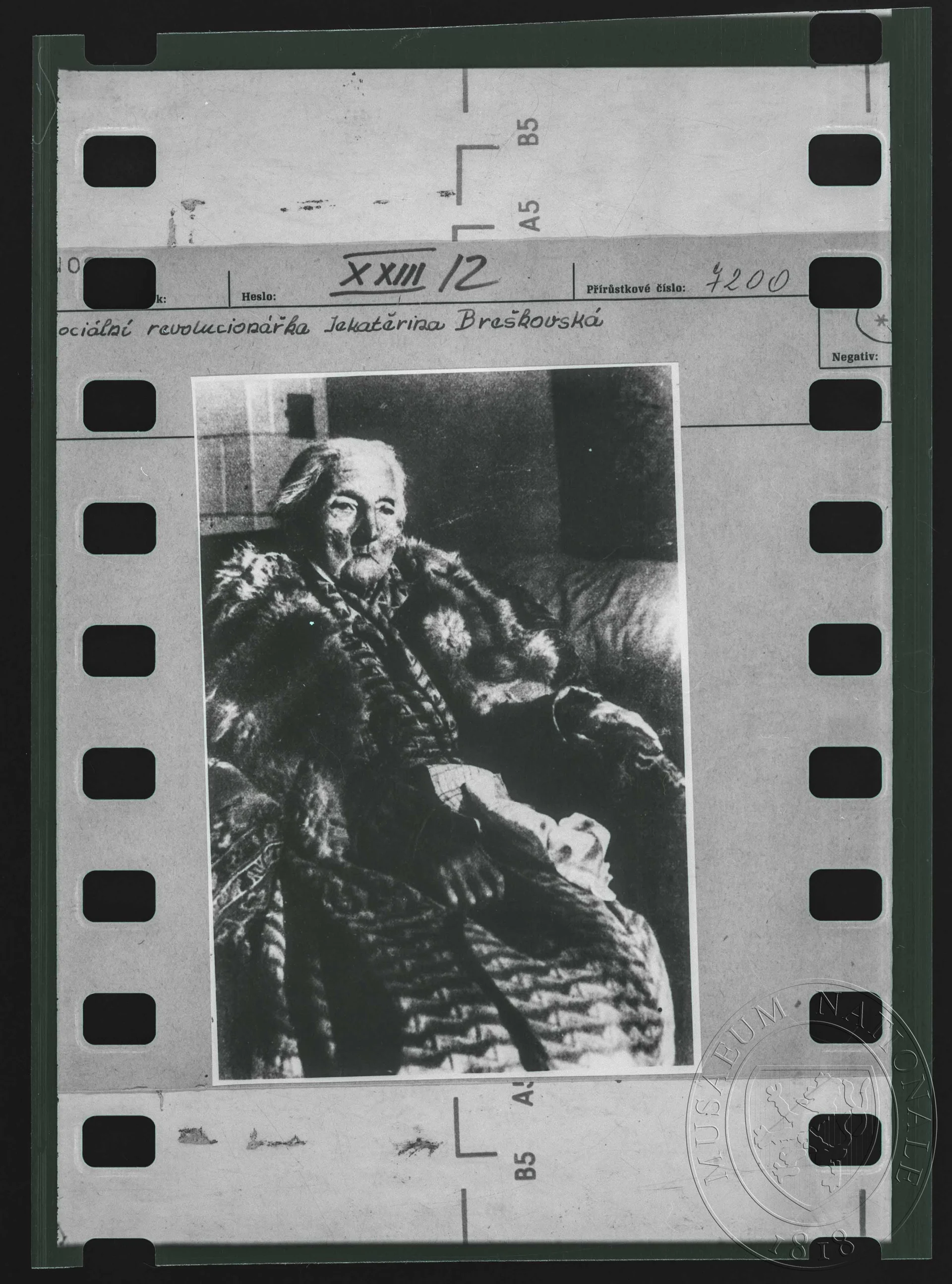 Obrázek Fotografie, Jekatěrina Breškovská