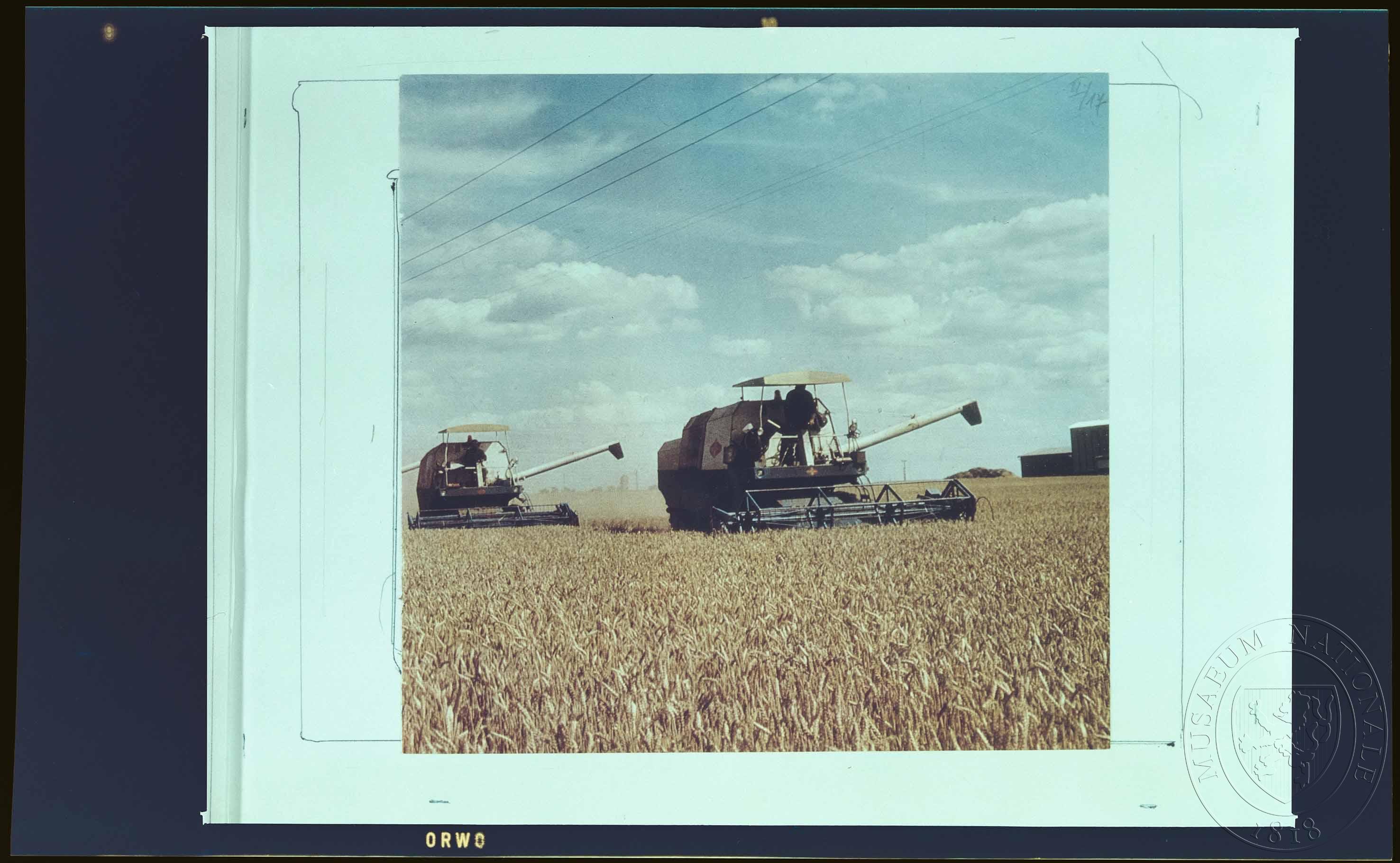 Náhledový obrázek Fotografie, kombajny - 1