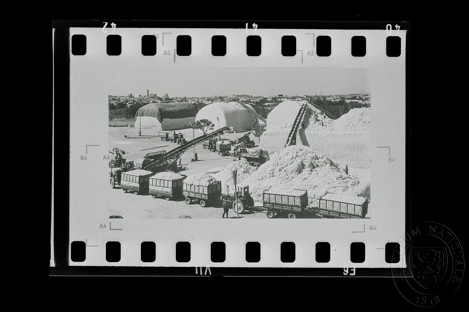 Náhledový obrázek Fotografie, zemědělské práce - 1