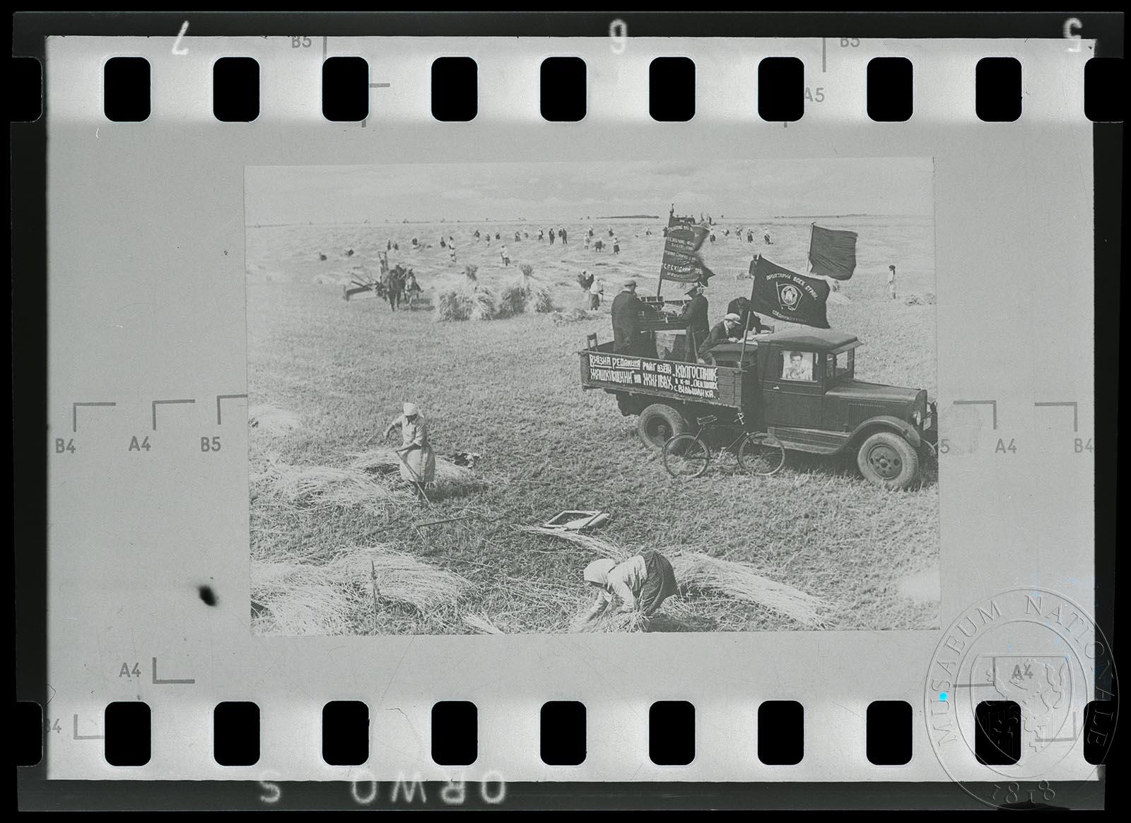 Náhledový obrázek Fotografie, senoseč - 1