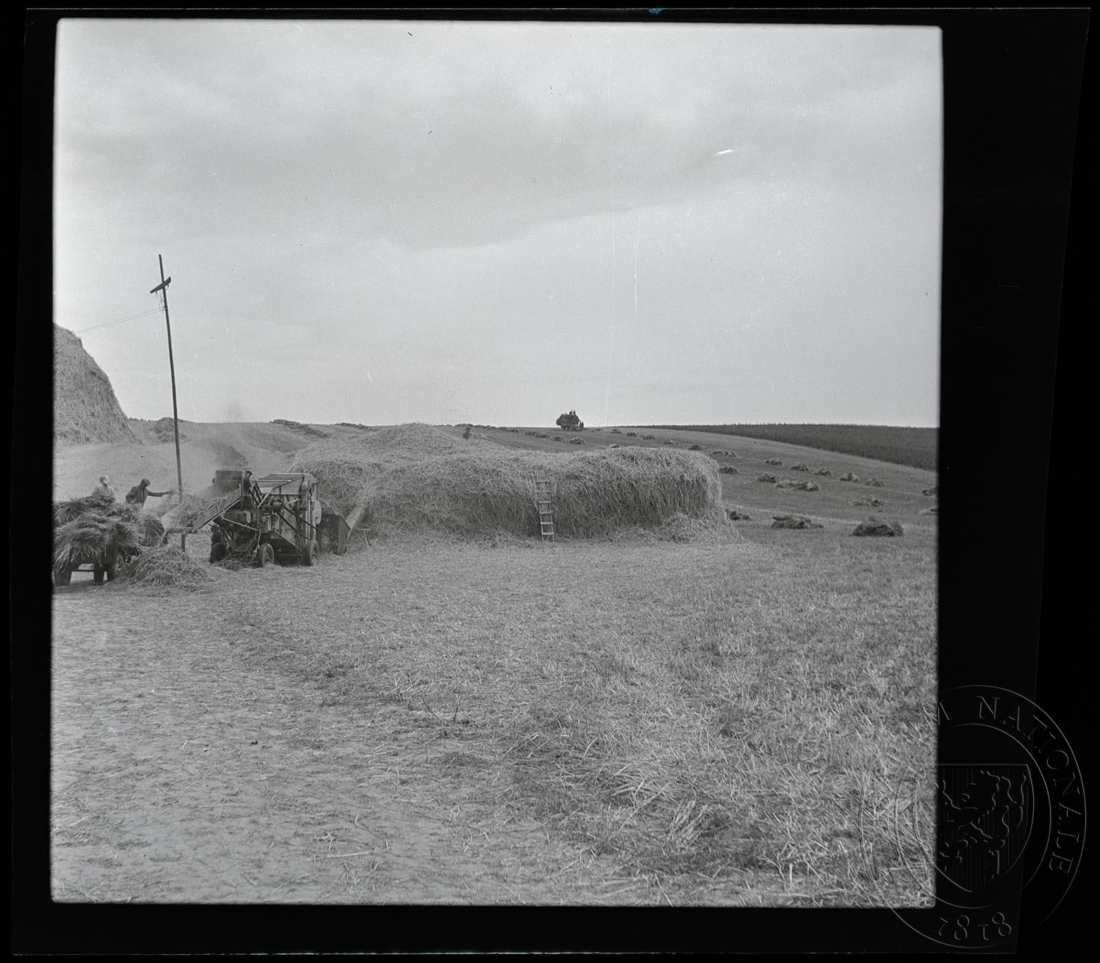 Náhledový obrázek Fotografie, JZD Bučovice - 1