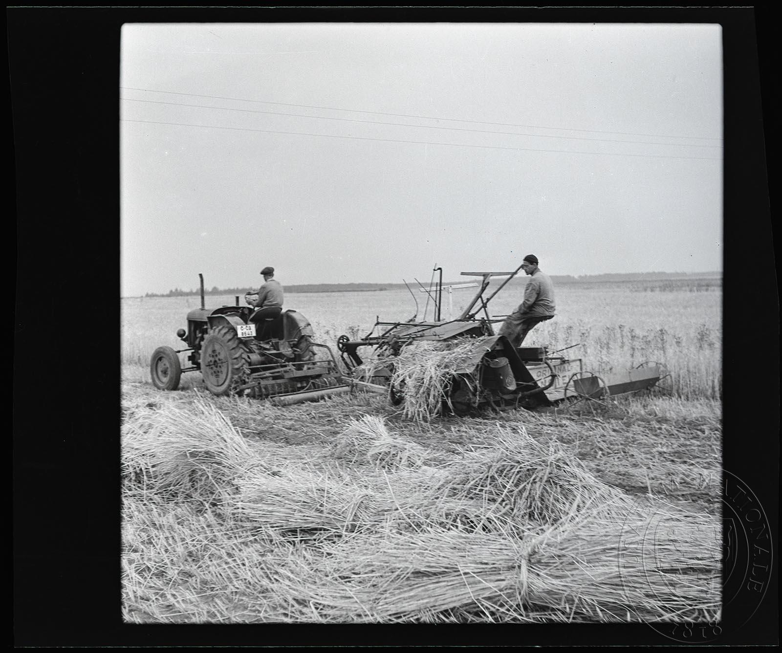 Náhledový obrázek Fotografie, STS Přistoupim - 1