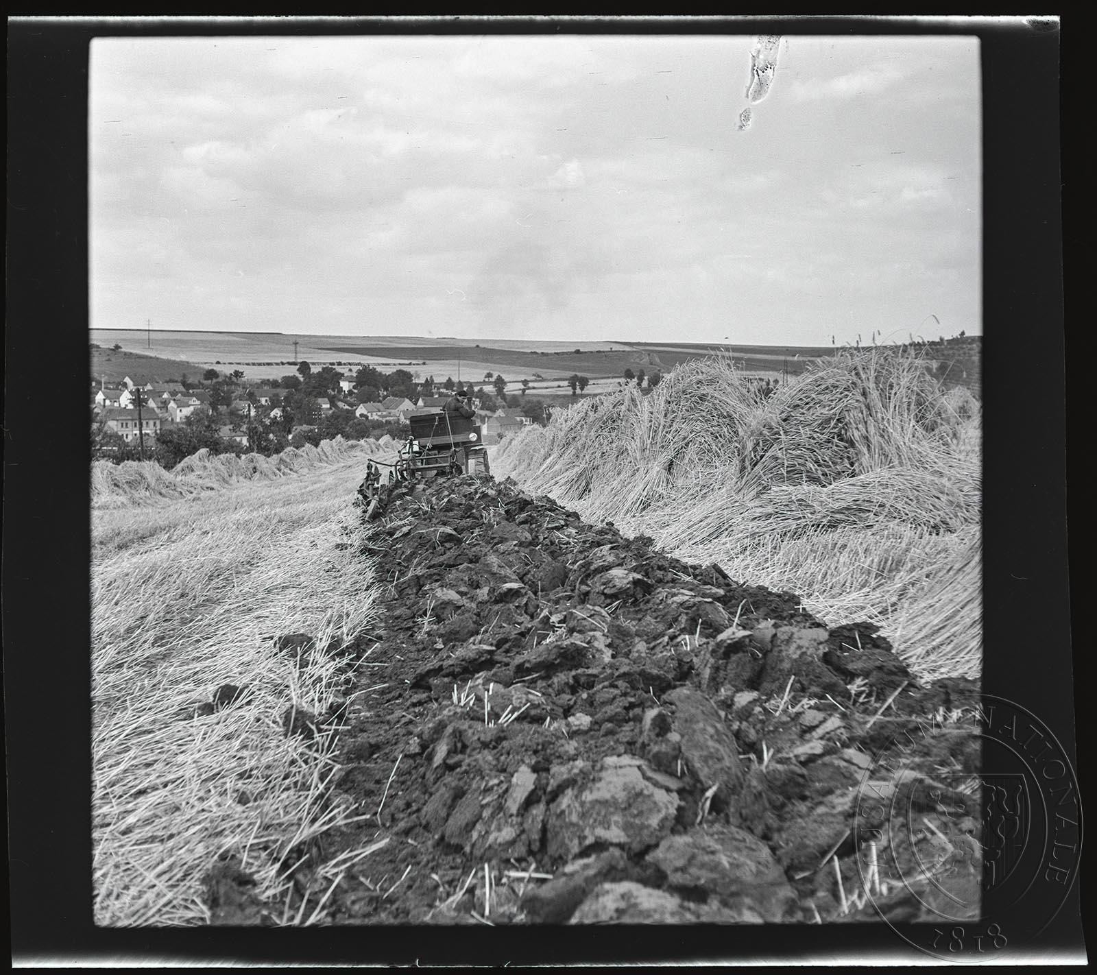 Náhledový obrázek Fotografie, JZD Horoměřice - 1