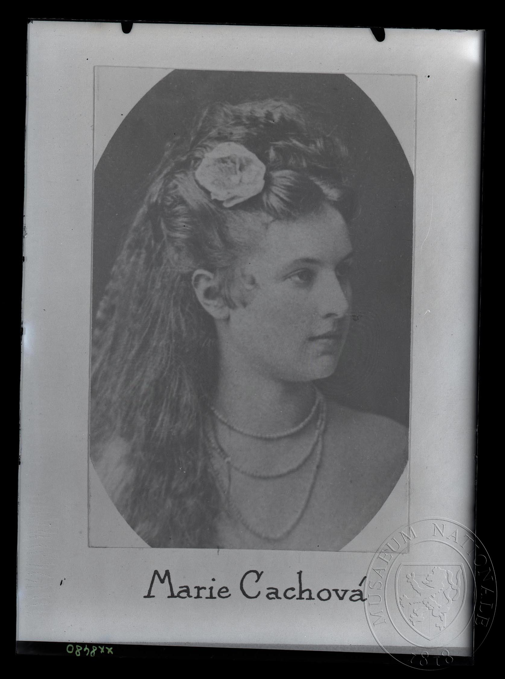 Náhledový obrázek Fotografie, Marie Cachová, portrét. - 1