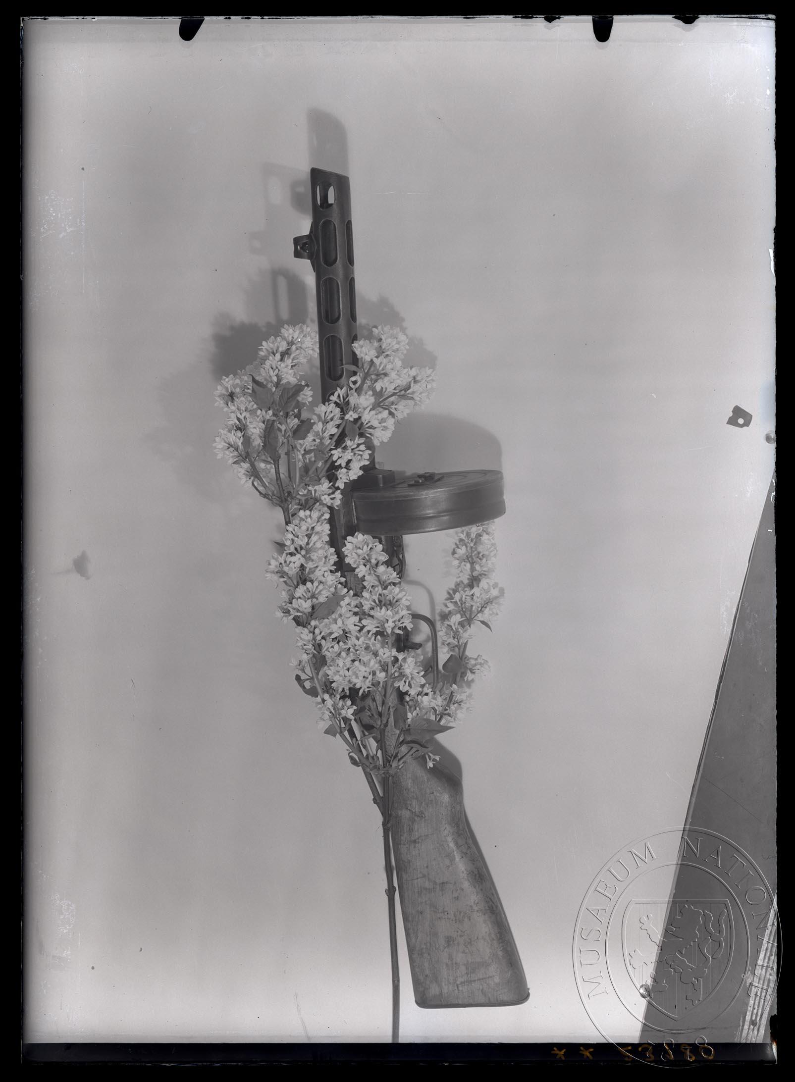 Náhledový obrázek Fotografie, samopal s květinou - 1