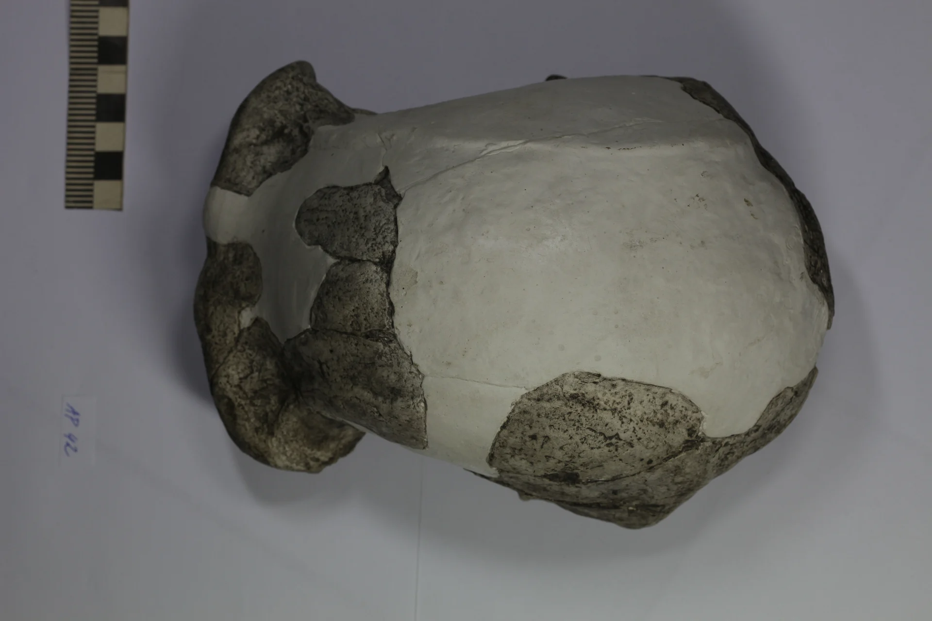 Náhledový obrázek předmětu Olduvai Hominid 9