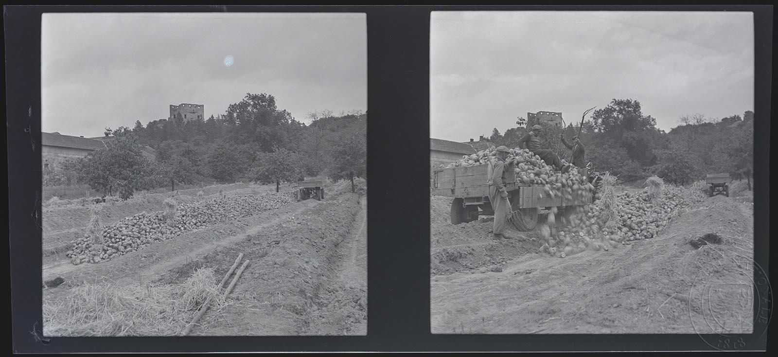 Náhledový obrázek předmětu 2 x fotografie, JZD Boseň