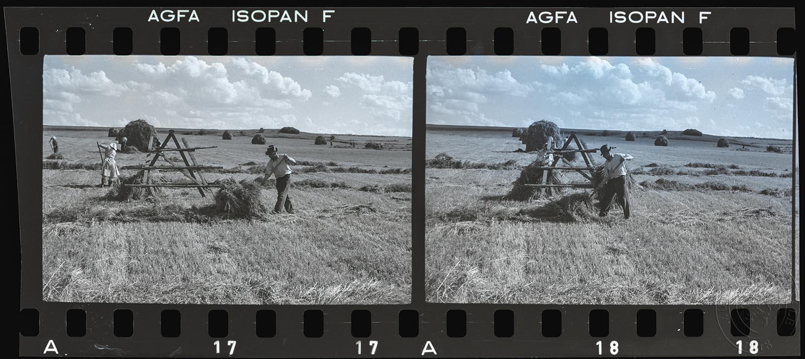 Náhledový obrázek 2 x fotografie, JZD Předboj - 1