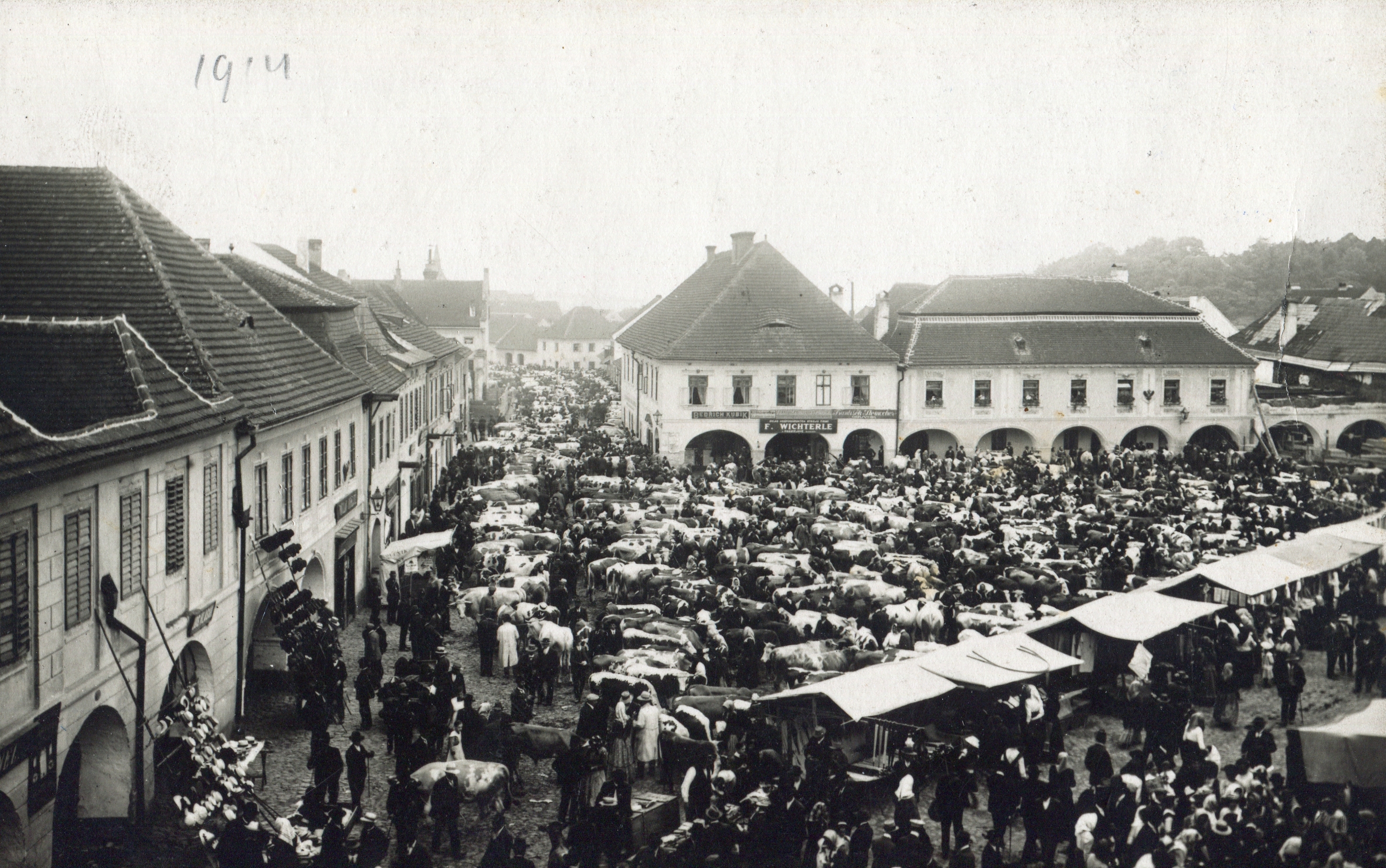 Náhledový obrázek Fotografie "Dobytčí jarmark v Netolicích" - 1