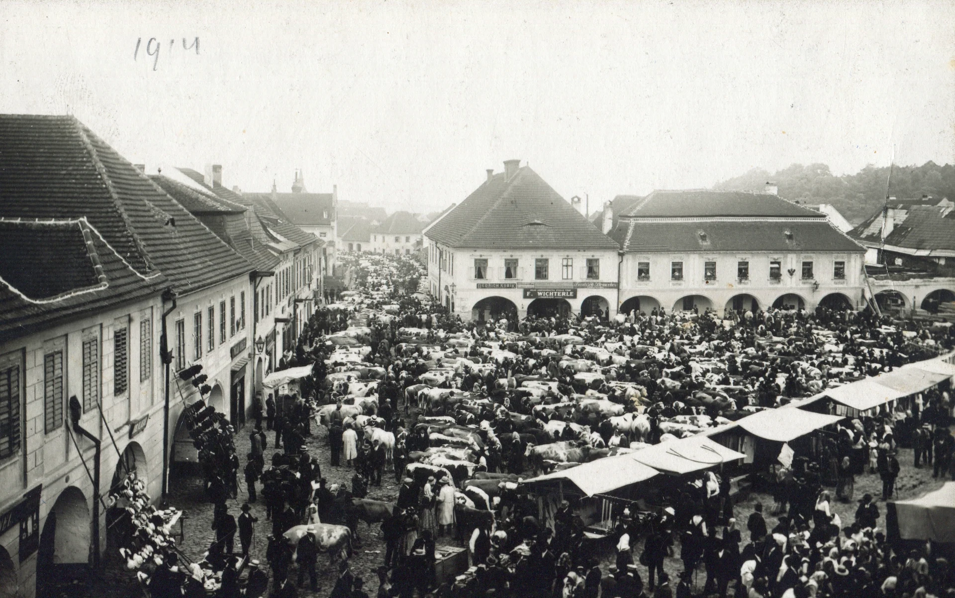 Náhledový obrázek předmětu Fotografie "Dobytčí jarmark v Netolicích"