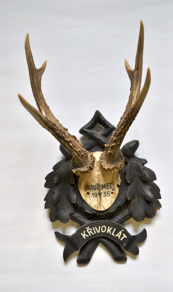 Náhledový obrázek Srnčí paroží trofej - 1