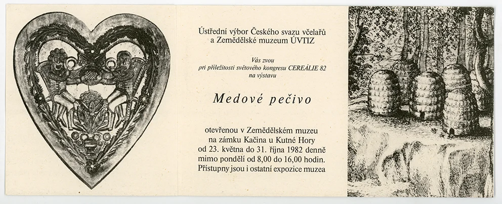 Náhledový obrázek předmětu Pozvánka