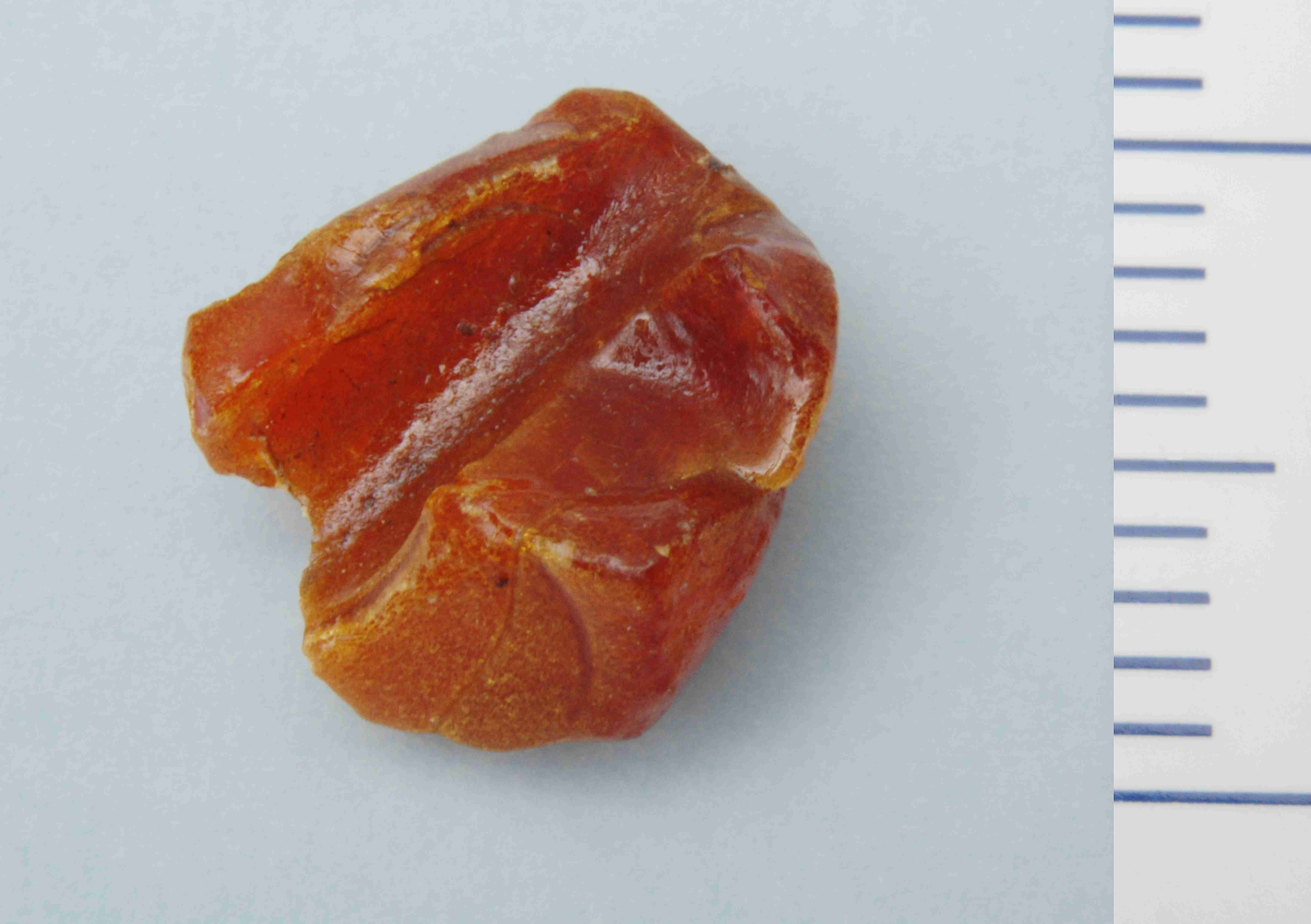 Náhledový obrázek Korálek (část) - 1
