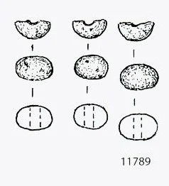 Náhledový obrázek předmětu korál (náhrdelník) - zlomky